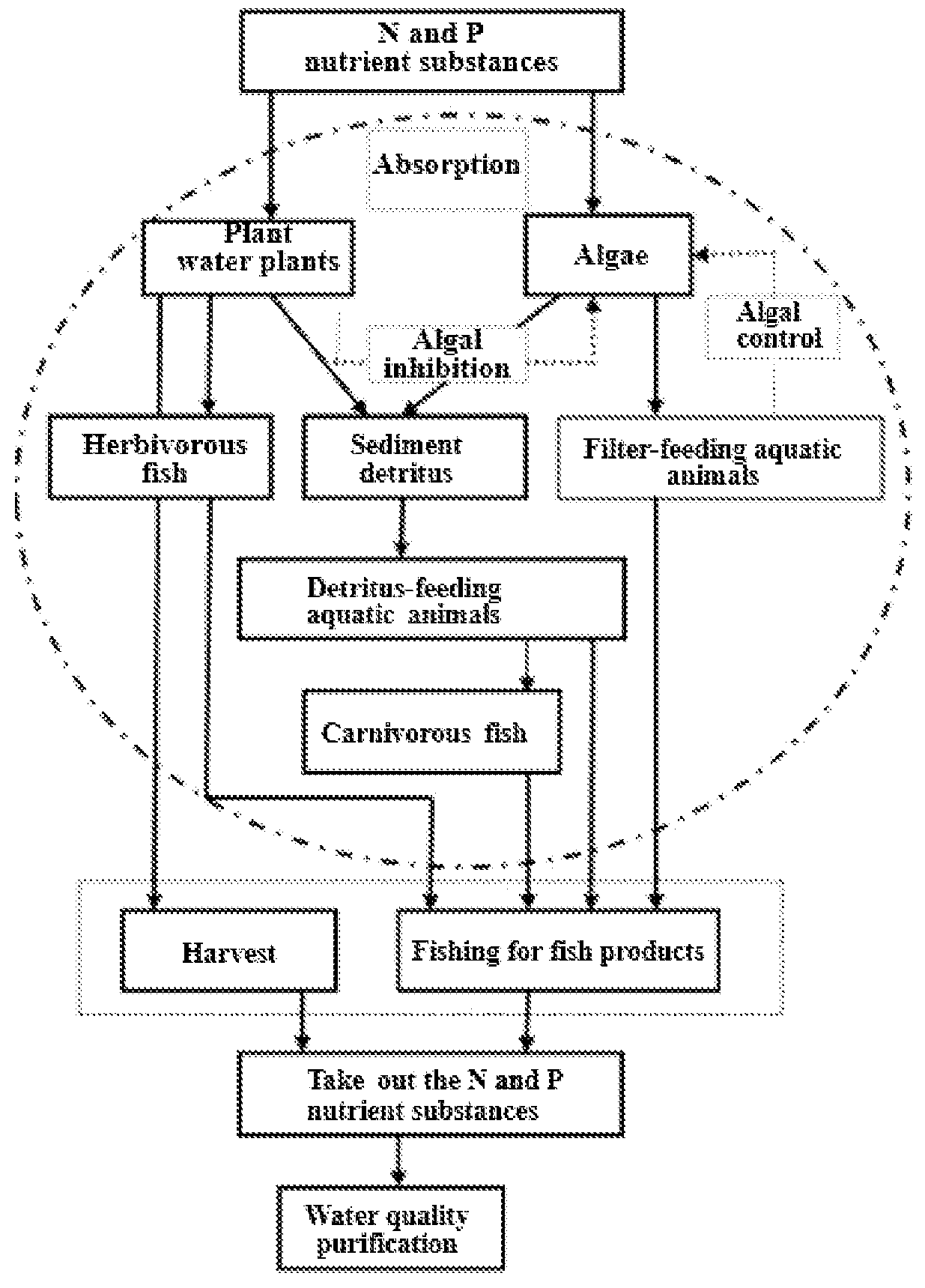 Patent US12617703 Figure 1 – Micro-polluted water body treatment method based on aquatic forest system construction