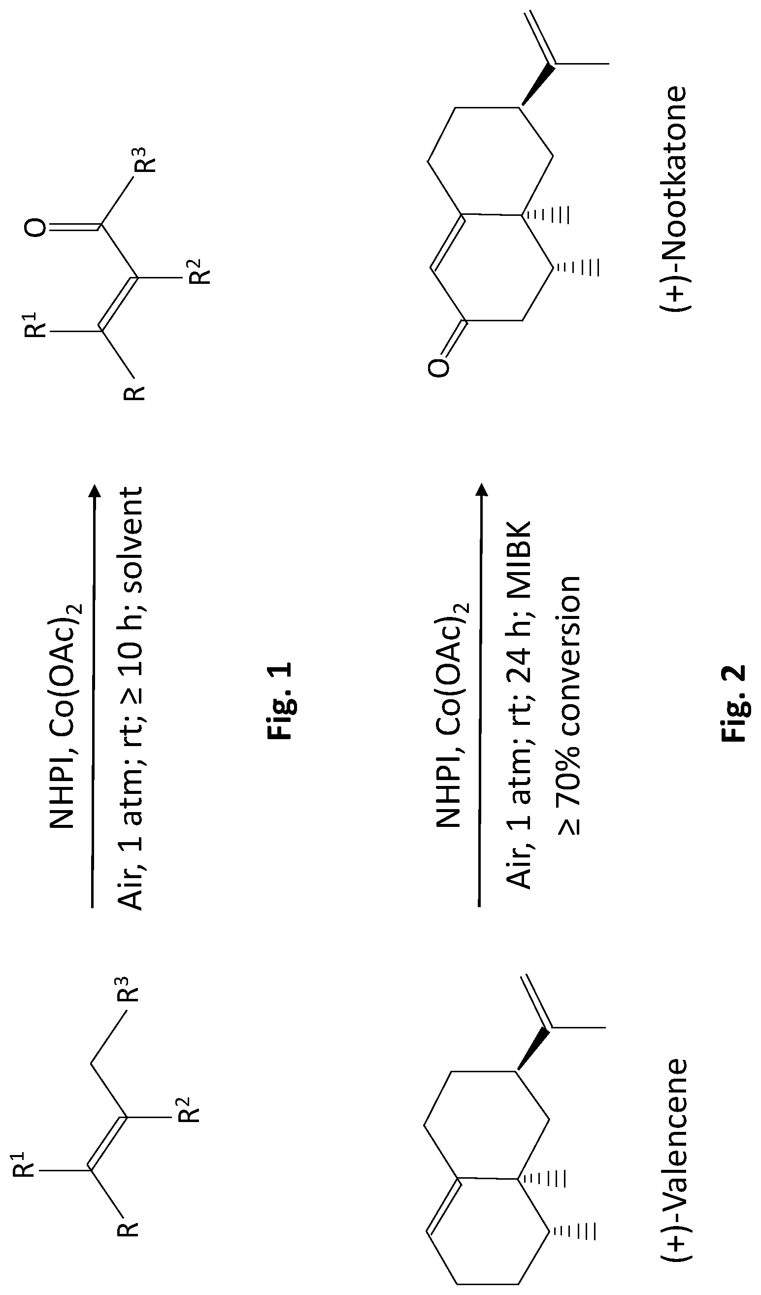 Patent US12617741 — Method for the manufacture of α,β-unsaturated ketones — Figure 1