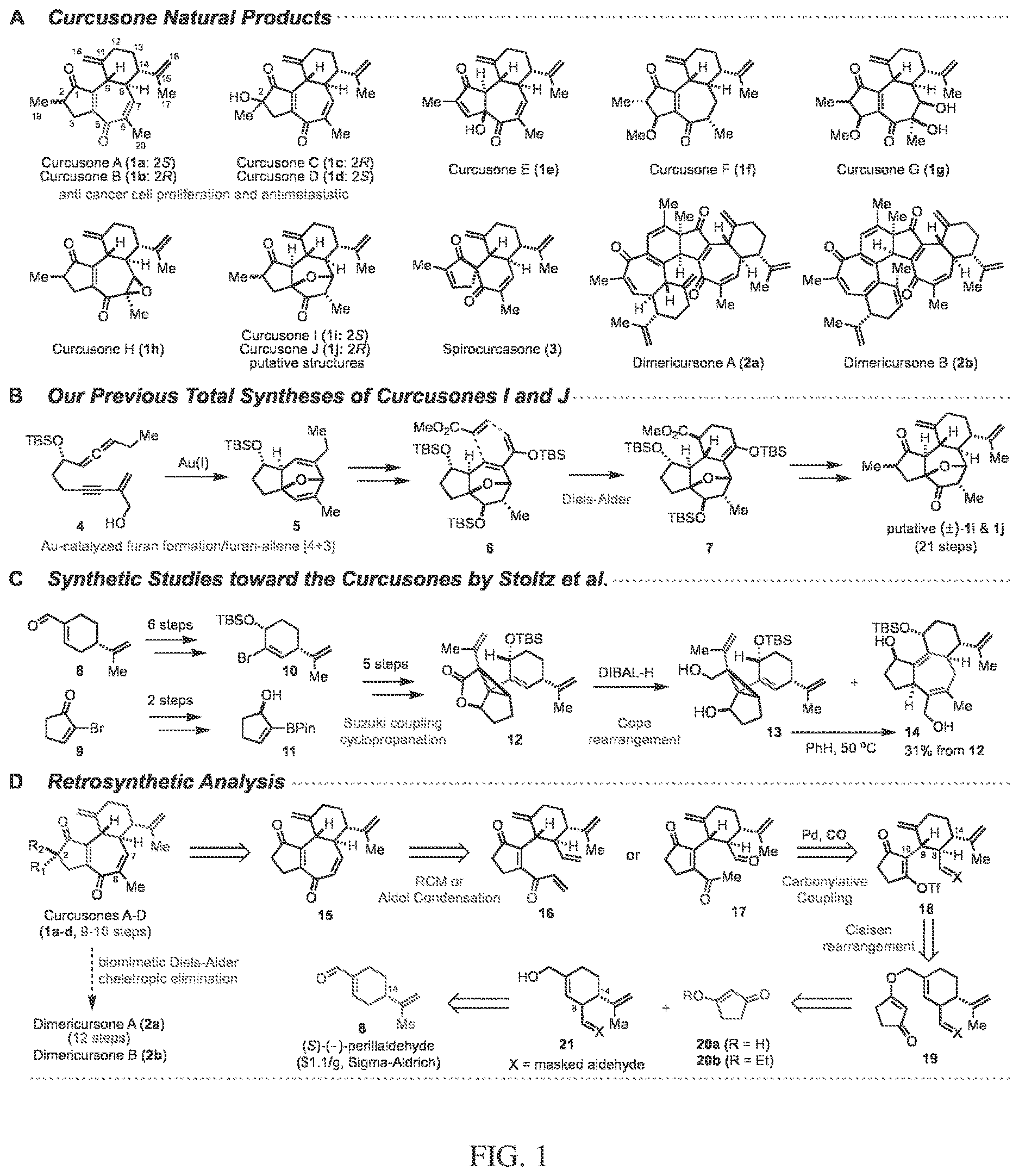 Patent US12617745 — Curcusone diterpenoids and uses thereof — Figure 1