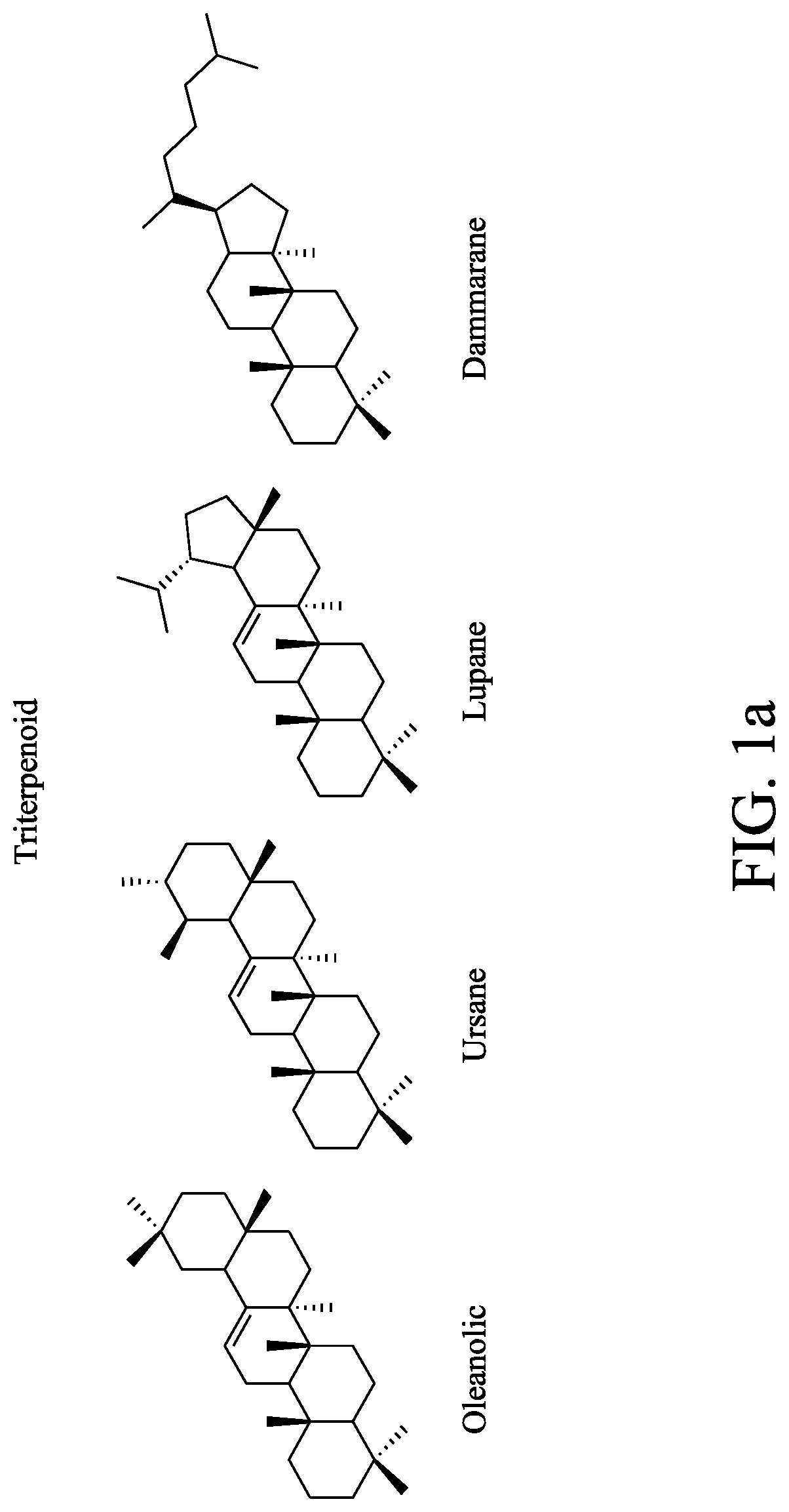 Patent US12617746 — Method of preparing triterpenoid compound — Figure 1