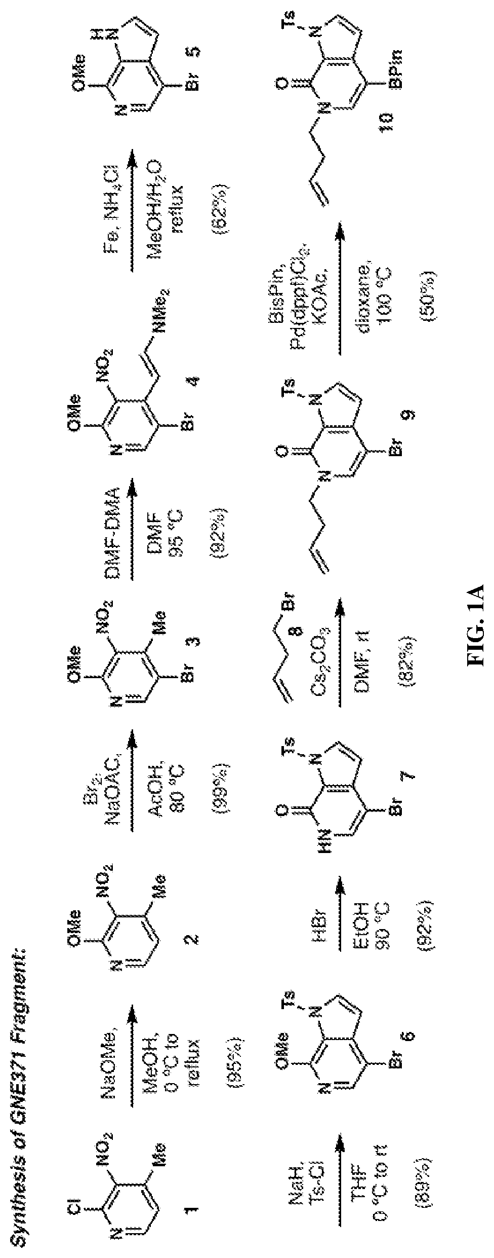 Patent US12617787 — Merged scaffold TAF1 inhibitors — Figure 1