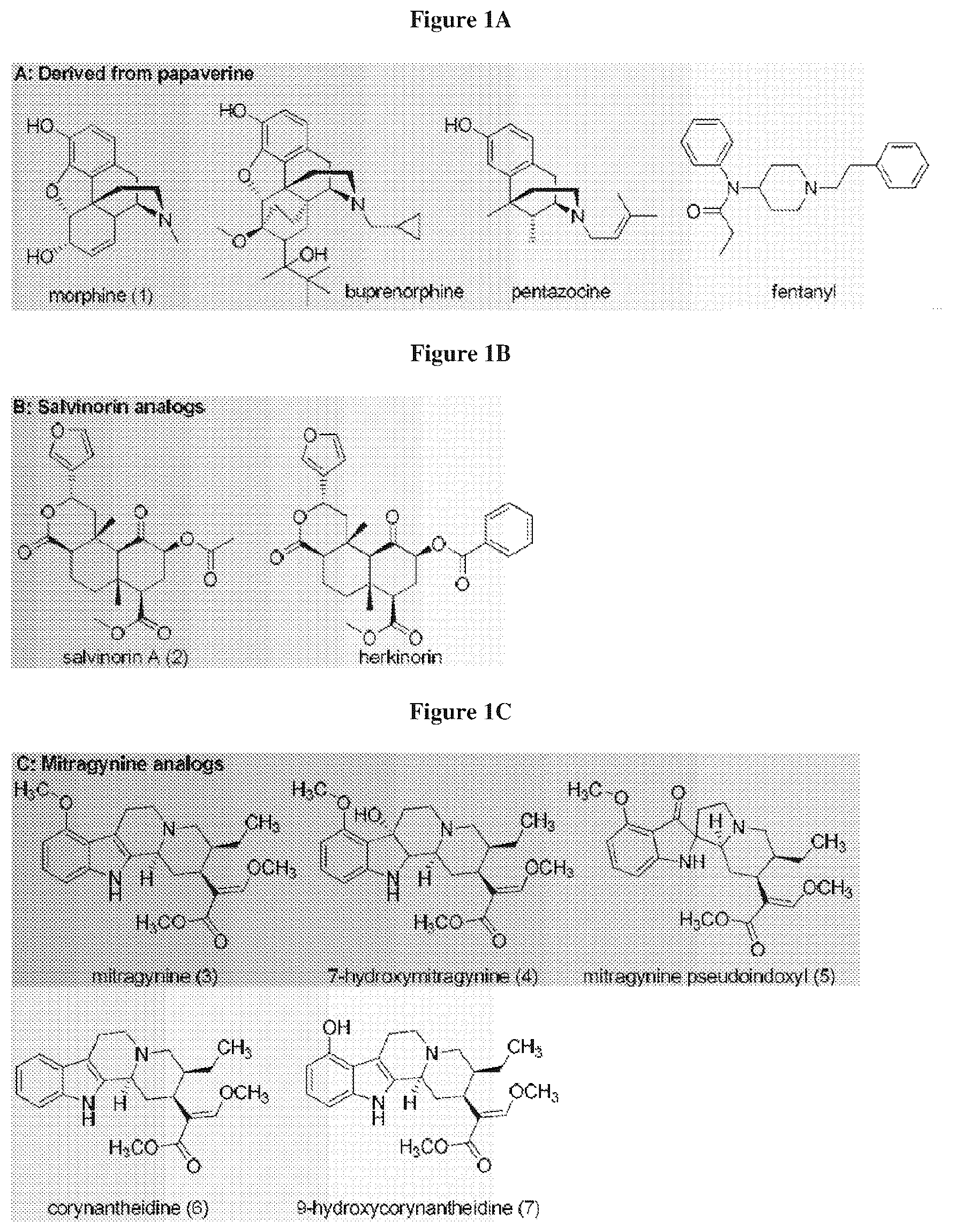 Patent US12617790 — Mitragynine analogs and uses thereof — Figure 1
