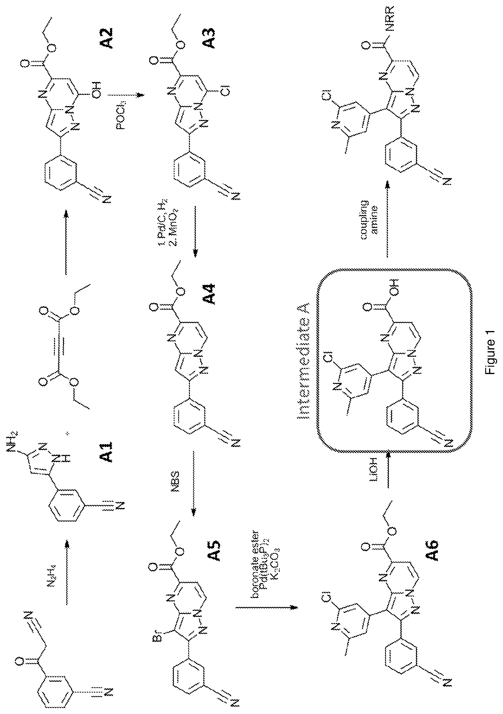 Patent US12617796 — Antagonists of the adenosine A2a receptor — Figure 1