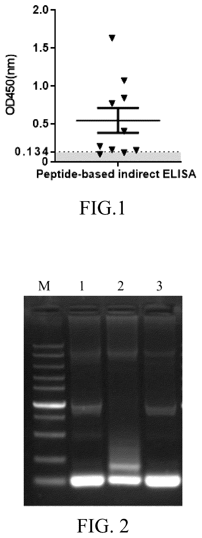 Patent US12617823 — Broad-spectrum peptide antigen of the novel coronavirus SARS-COV-2, specific neutralizing antibody and use thereof — Figure 1