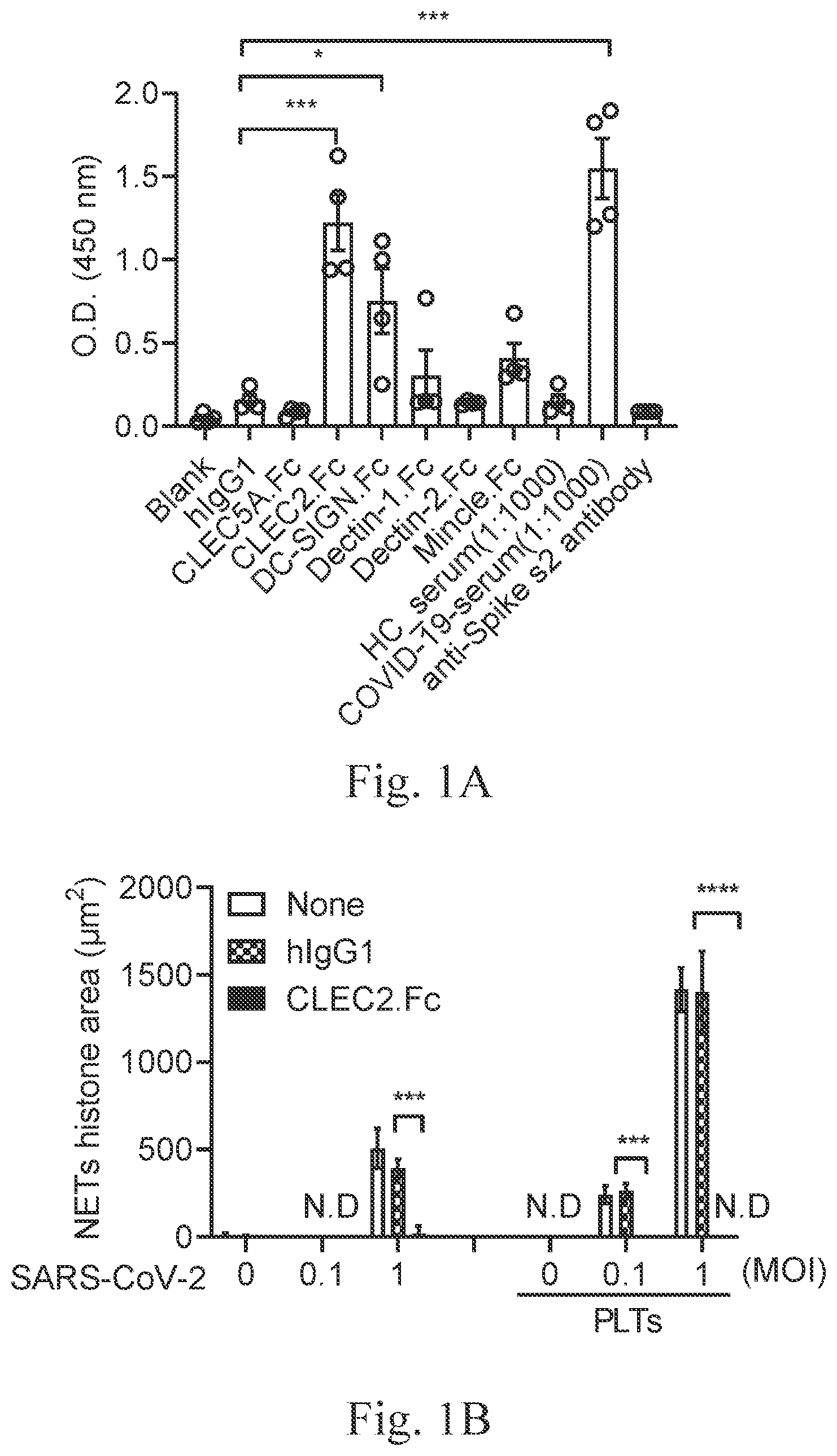 Patent US12617826 — CLEC2 fusion protein and uses thereof — Figure 1