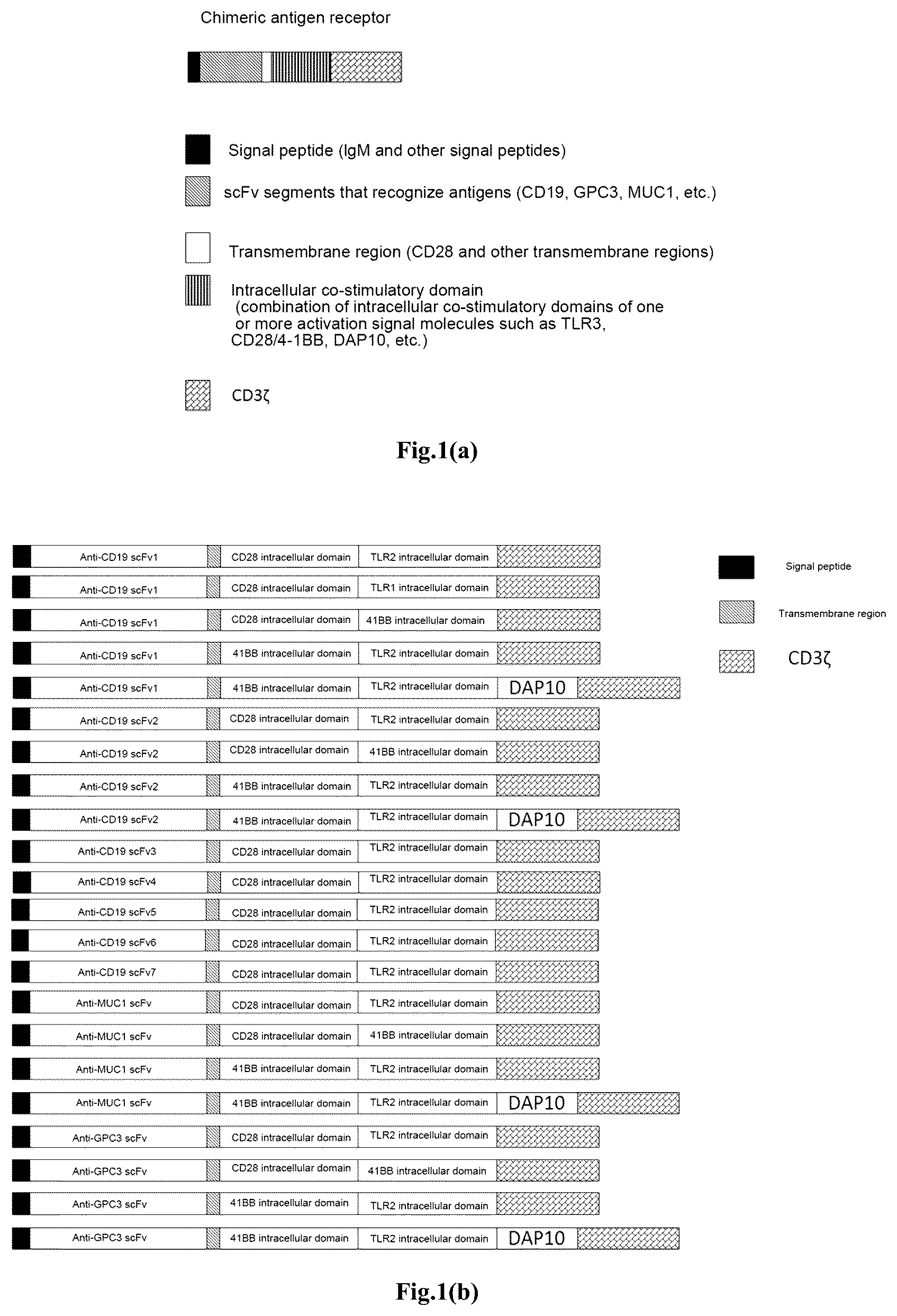 Patent US12617828 — Genetically modified immune cell, preparation method therefor, and application — Figure 1