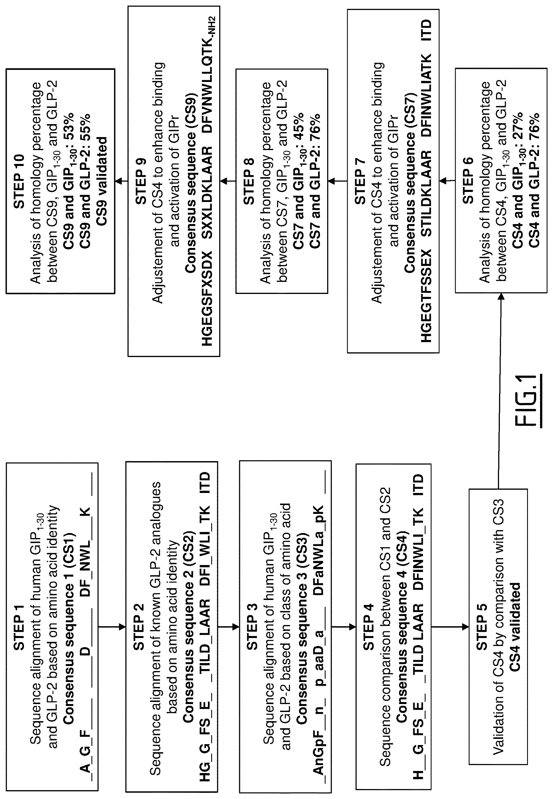 Patent US12617831 — Peptide targeting GIP and GLP-2 receptors for treating bone disorders — Figure 1