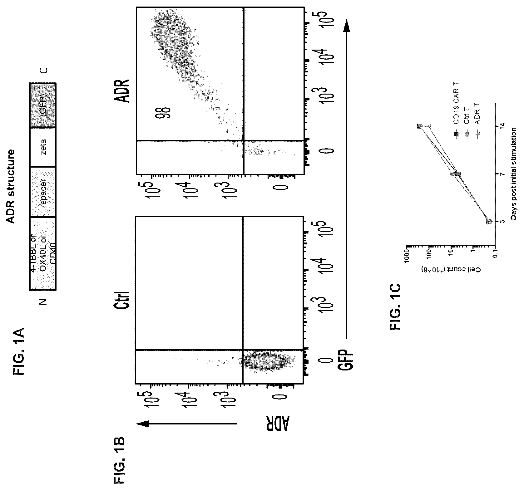 Patent US12617838 — Auto/allo-immune defense receptors for the selective targeting of activated pathogenic T cells and NK cells — Figure 1