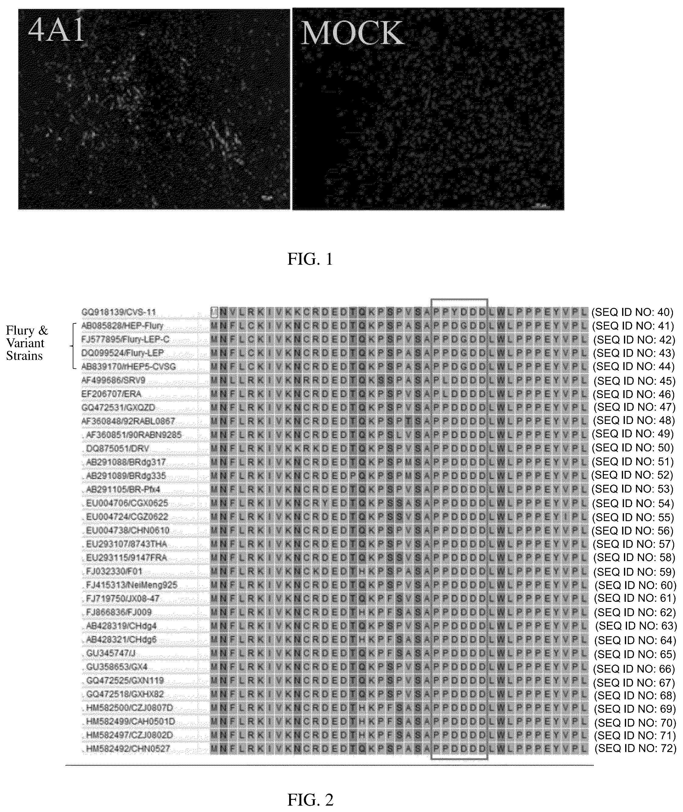 Patent US12617840 — Hybridoma cell line for secreting anti-rabies virus M protein monoclonal antibody and application thereof — Figure 1