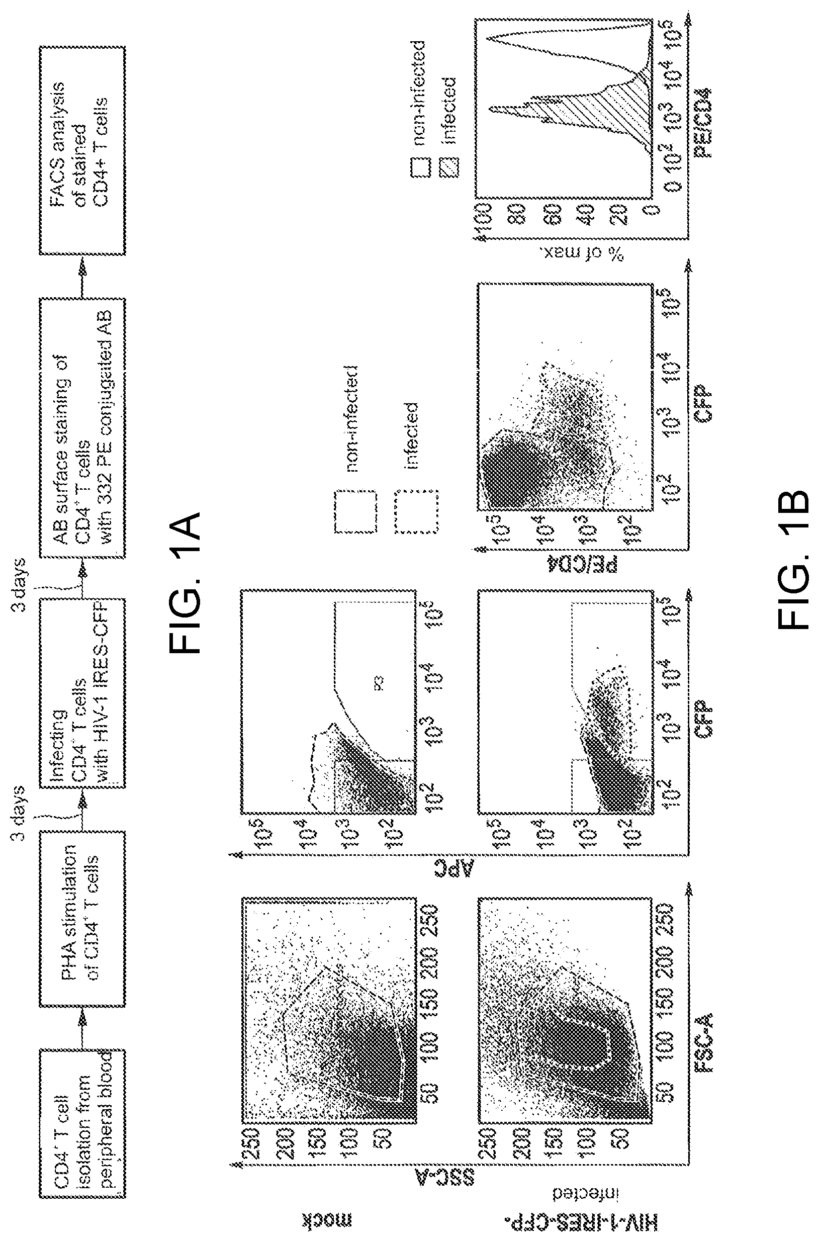 Patent US12617842 — Antiviral immunotherapy by membrane receptor ligation — Figure 1