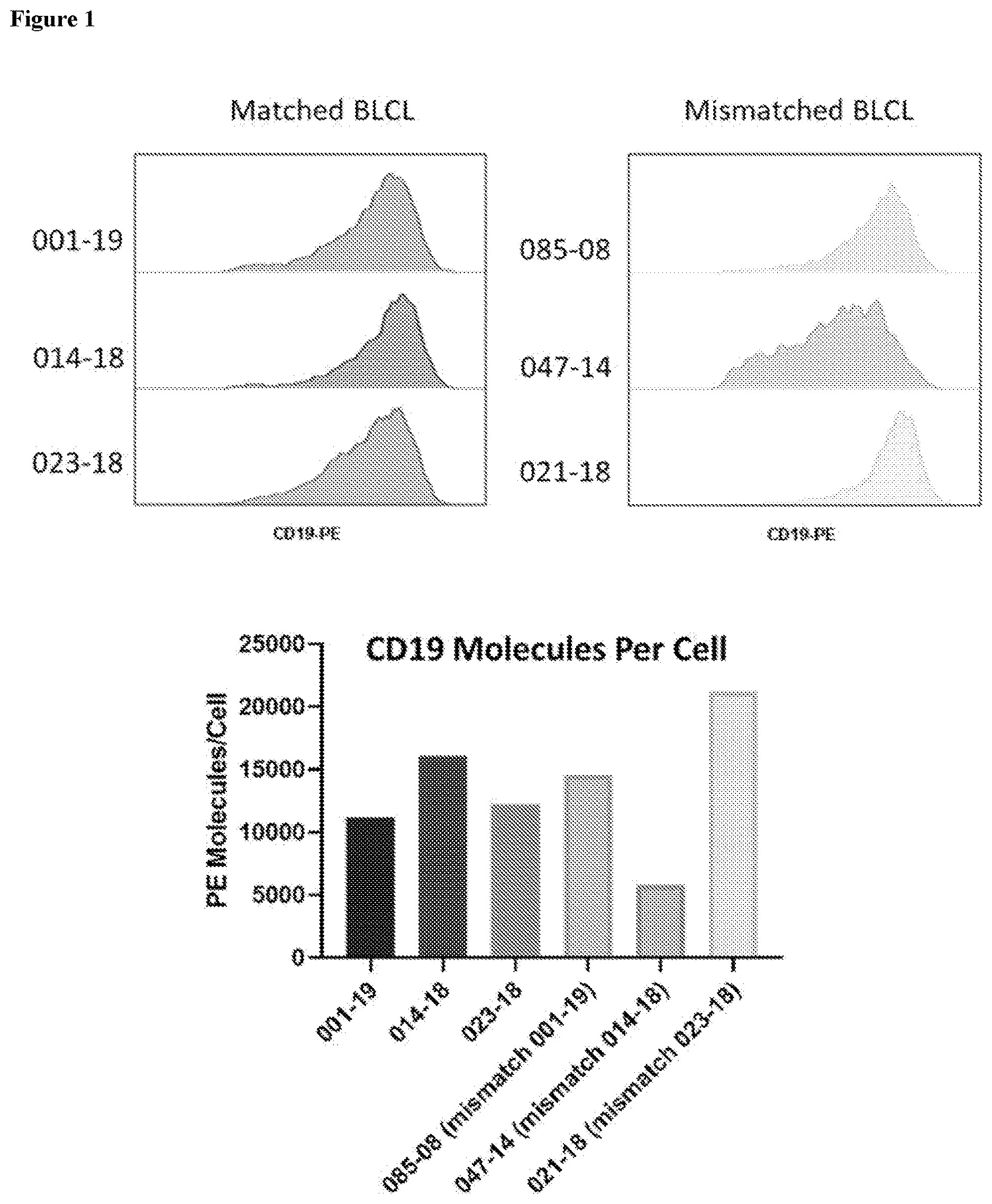 Patent US12617849 — Antigen specific CD19-targeted CAR-T cells — Figure 1