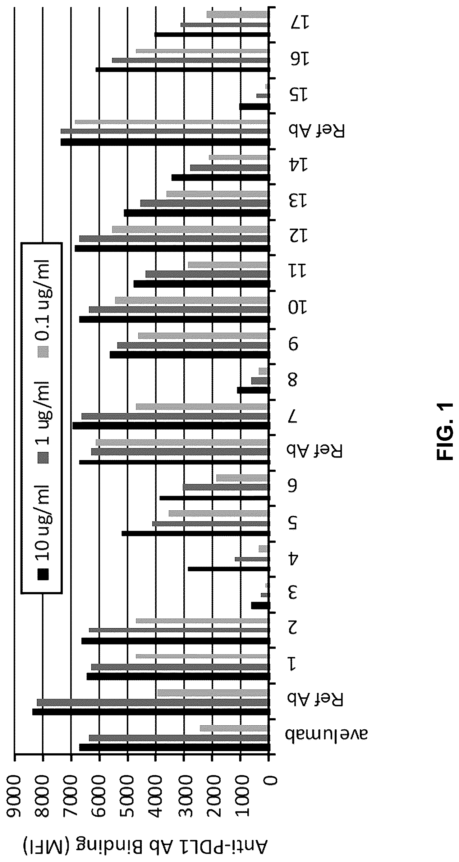 Patent US12617855 — Anti-PD-L1 antibodies — Figure 1