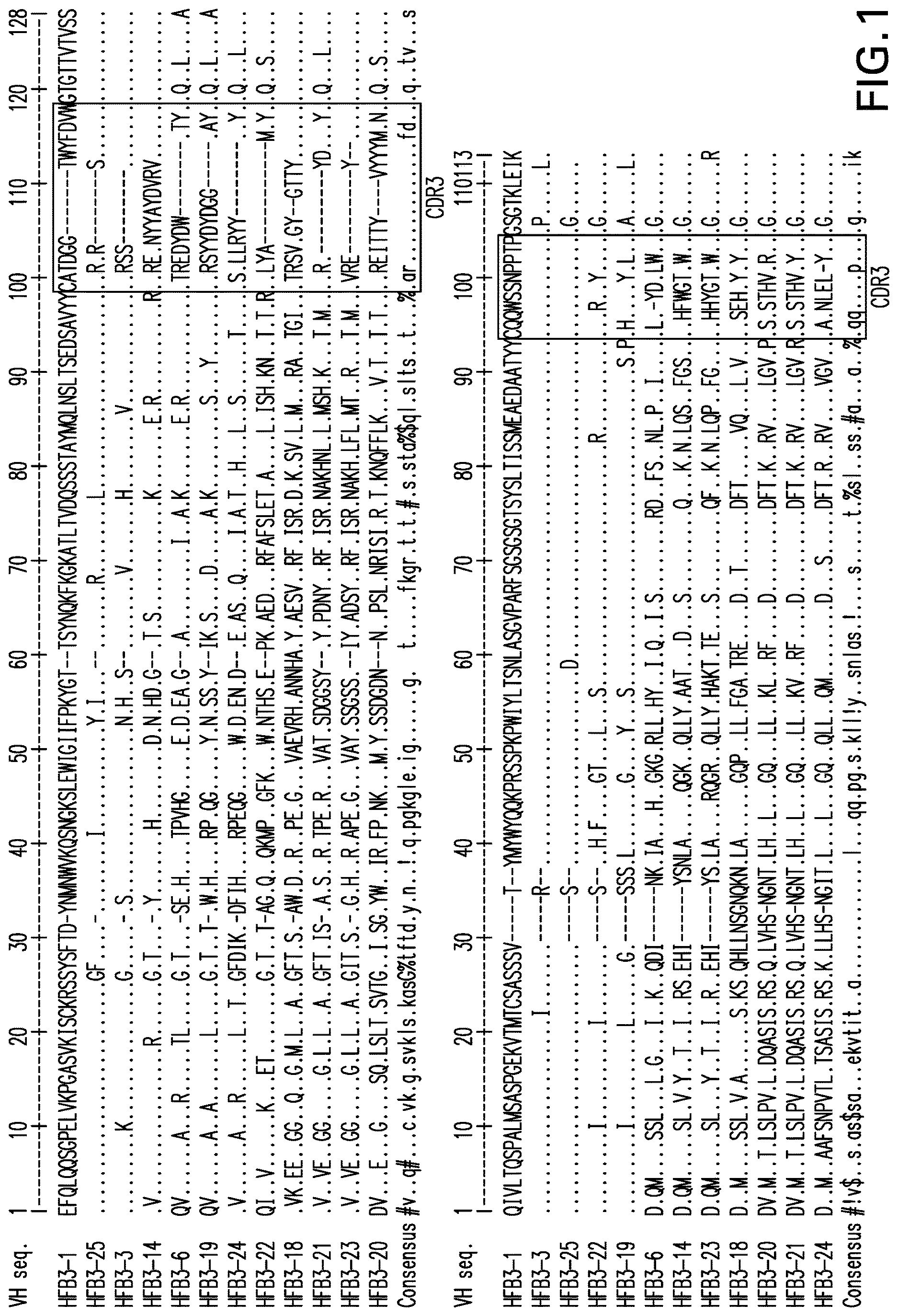 Patent US12617860 — Anti-TNFR2 antibody and uses thereof — Figure 1