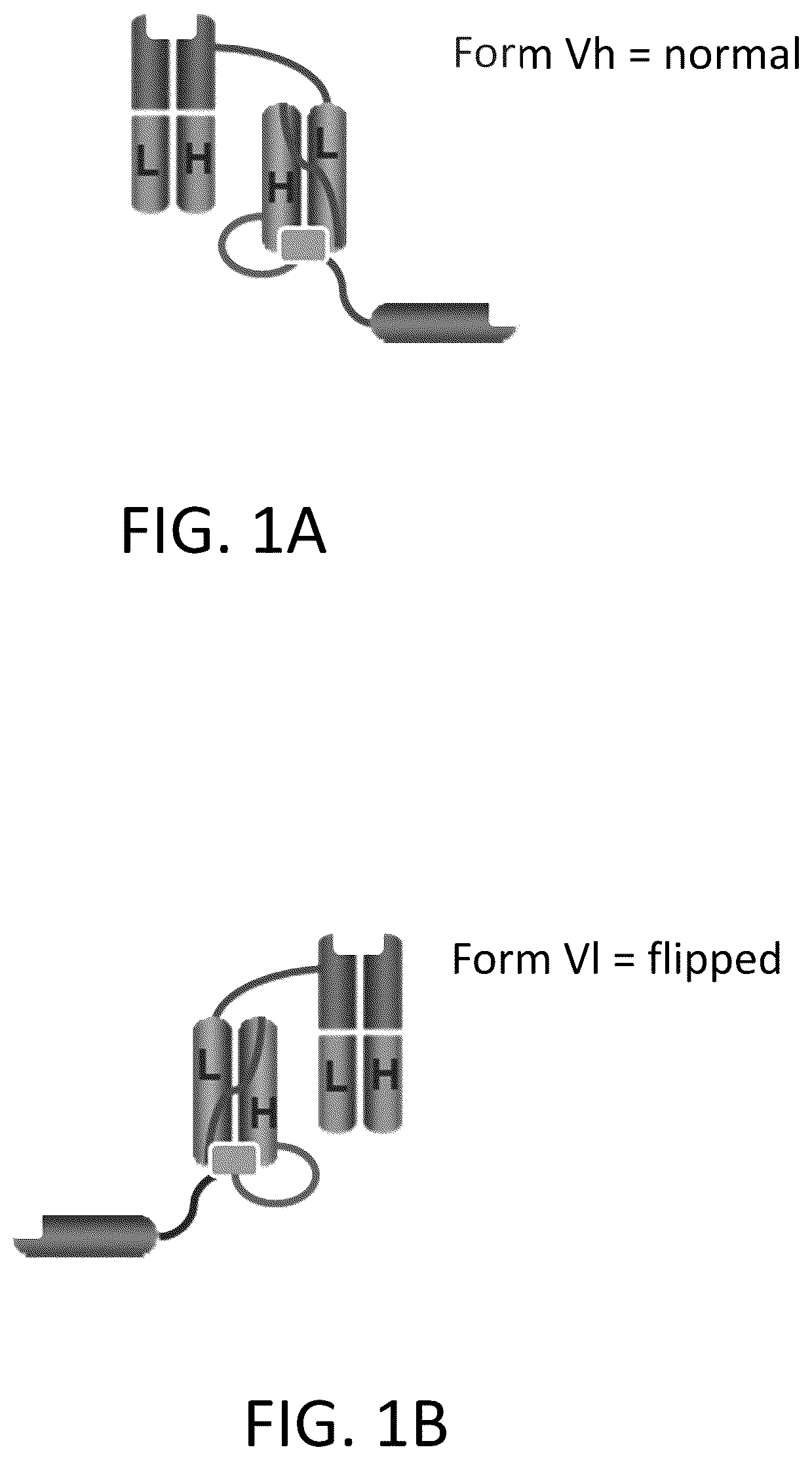 Patent US12617865 — Activated antibodies targeting PSMA and effector cell antigens — Figure 1
