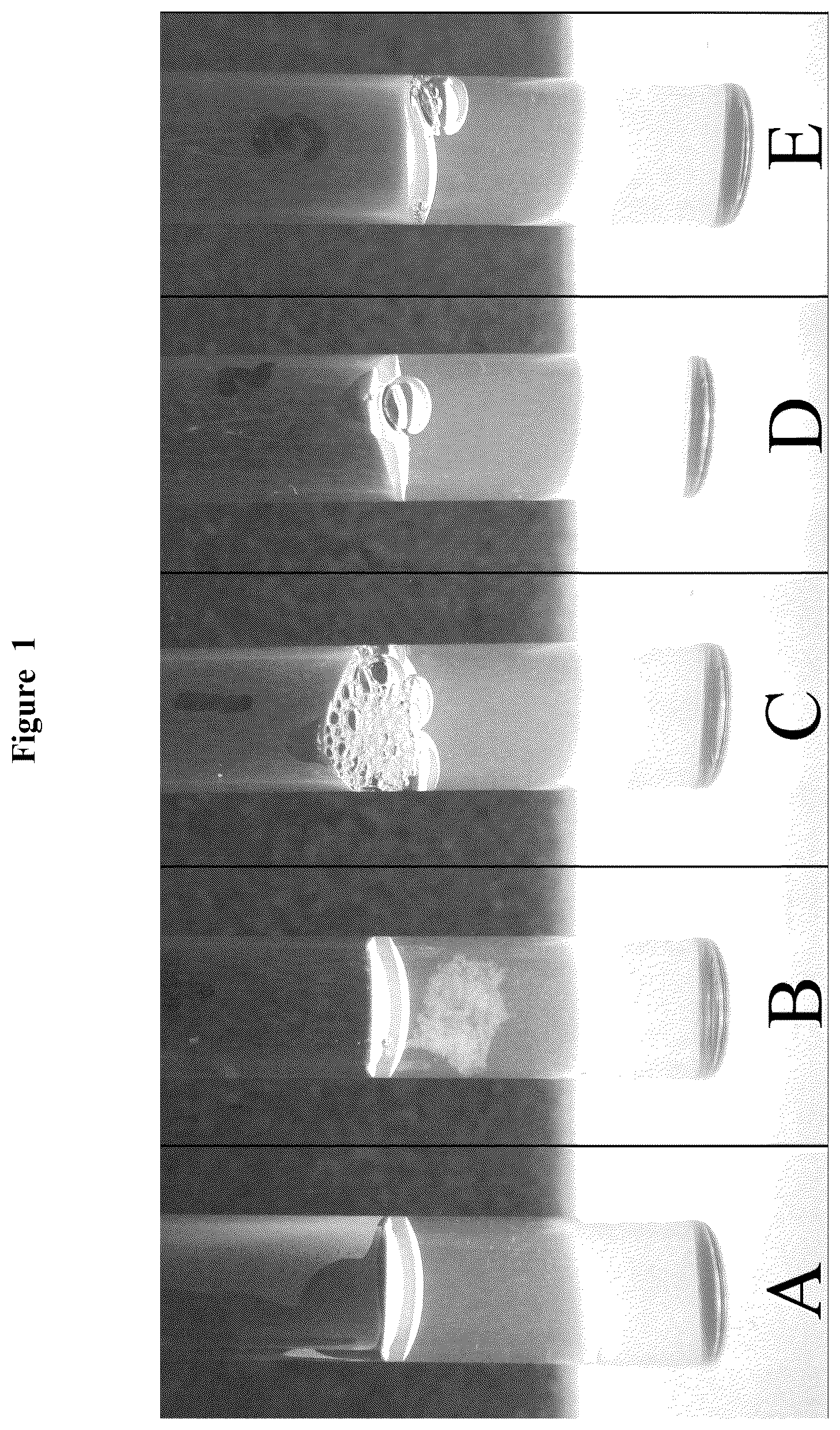 Patent US12617868 — Activation of (Na + +K + )-ATPase inhibits platelet aggregation and prevents thrombosis — Figure 1
