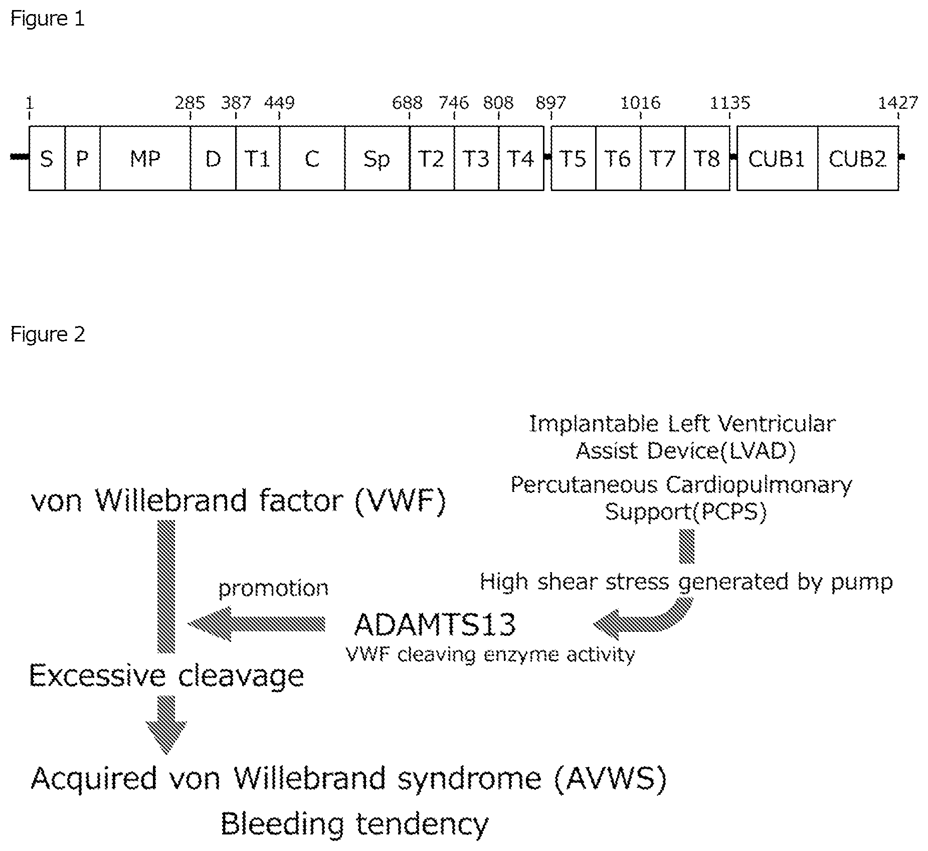 Patent US12617869 — Anti-ADAMTS13 antibody and use thereof — Figure 1