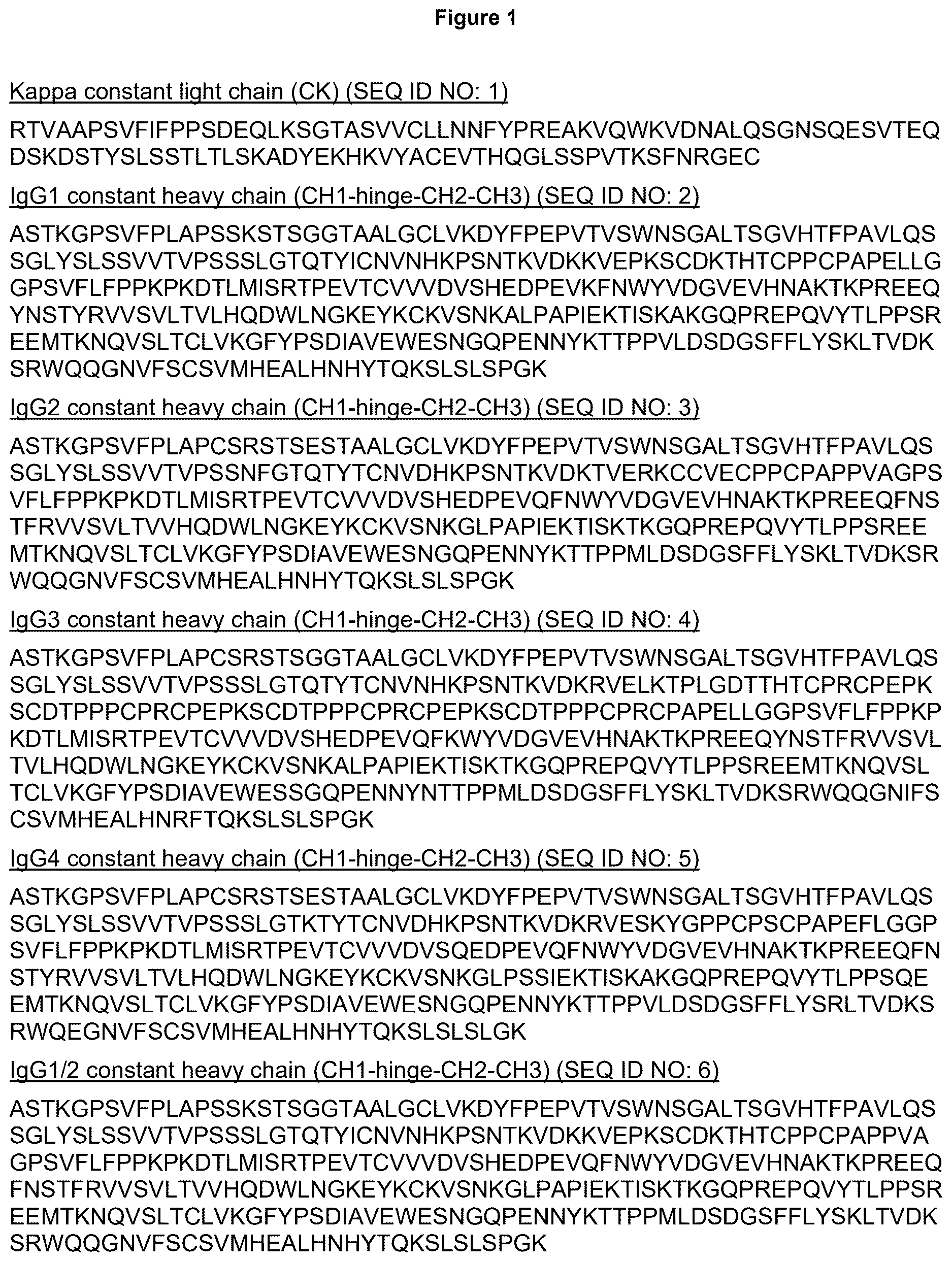 Patent US12617872 — Heterodimeric human IgG1 polypeptides with isoelectric point modifications — Figure 1