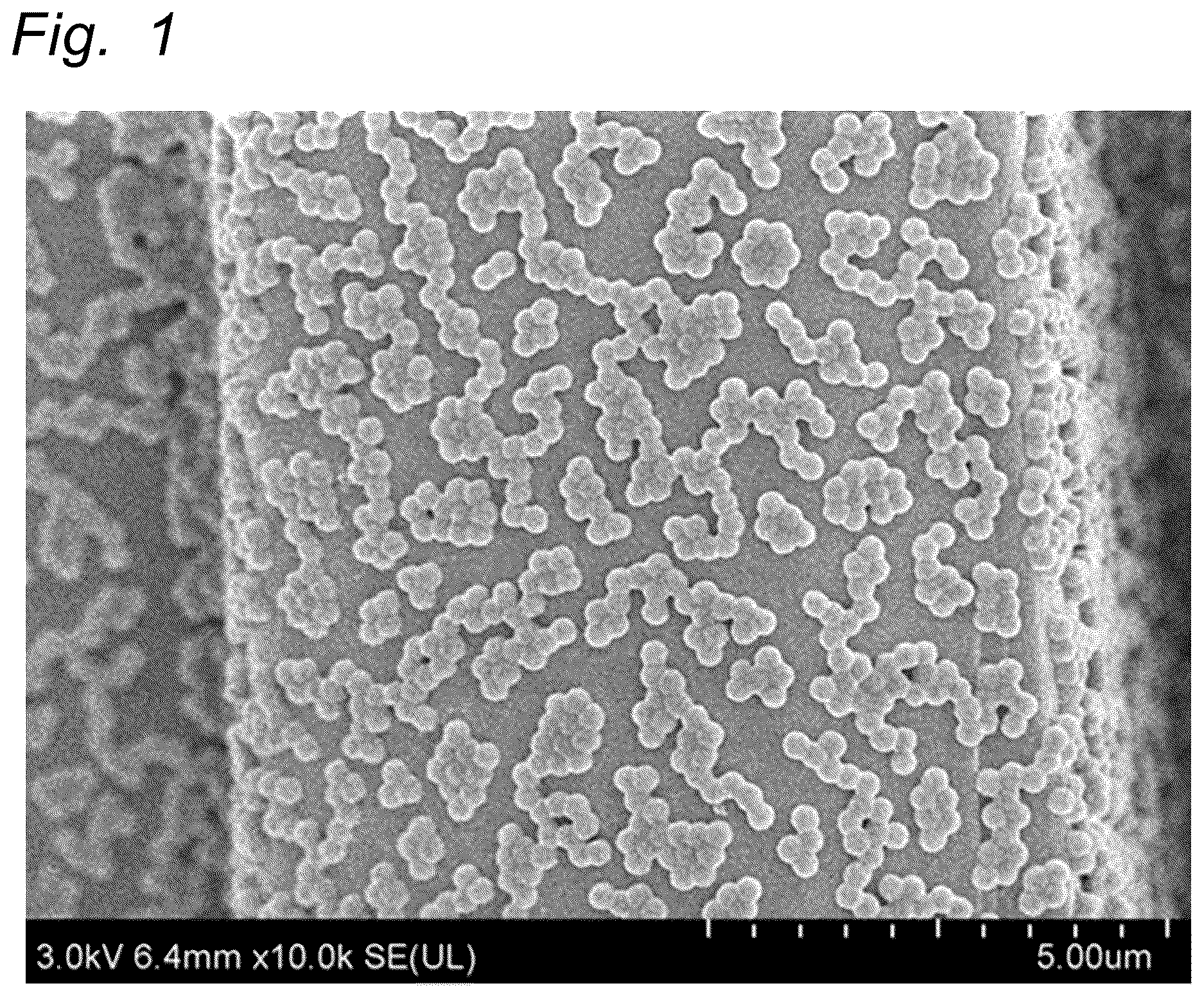 Patent US12617884 — Organic fine particle — Figure 1
