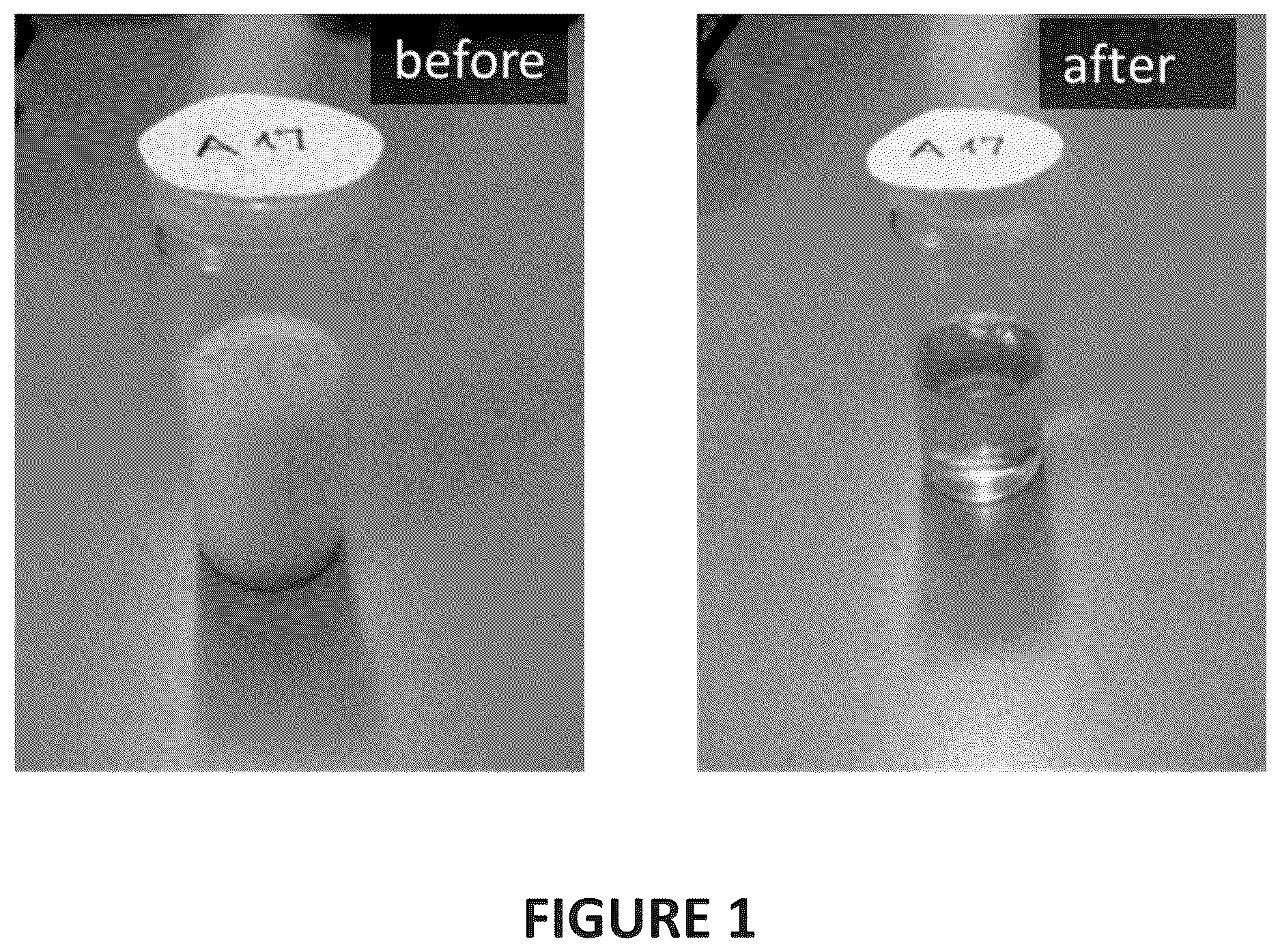 Patent US12617922 — Degradation of superabsorbent polymer via oxidative degradation — Figure 1