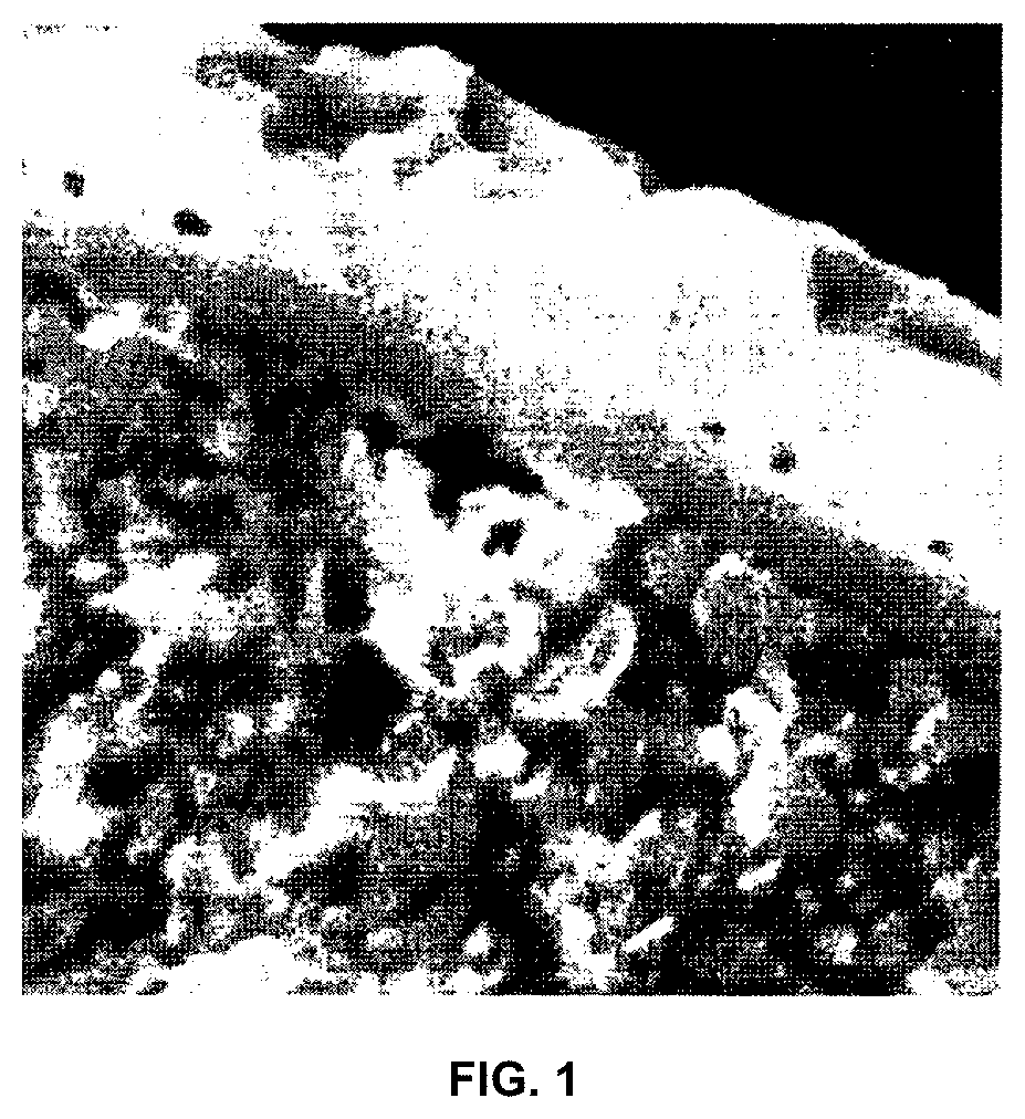 Patent US12617991 — Microcapsule for latent heat storage materials, method for producing same, powder containing microcapsules for latent heat storage materials, and heat storage device comprising said powder — Figure 1