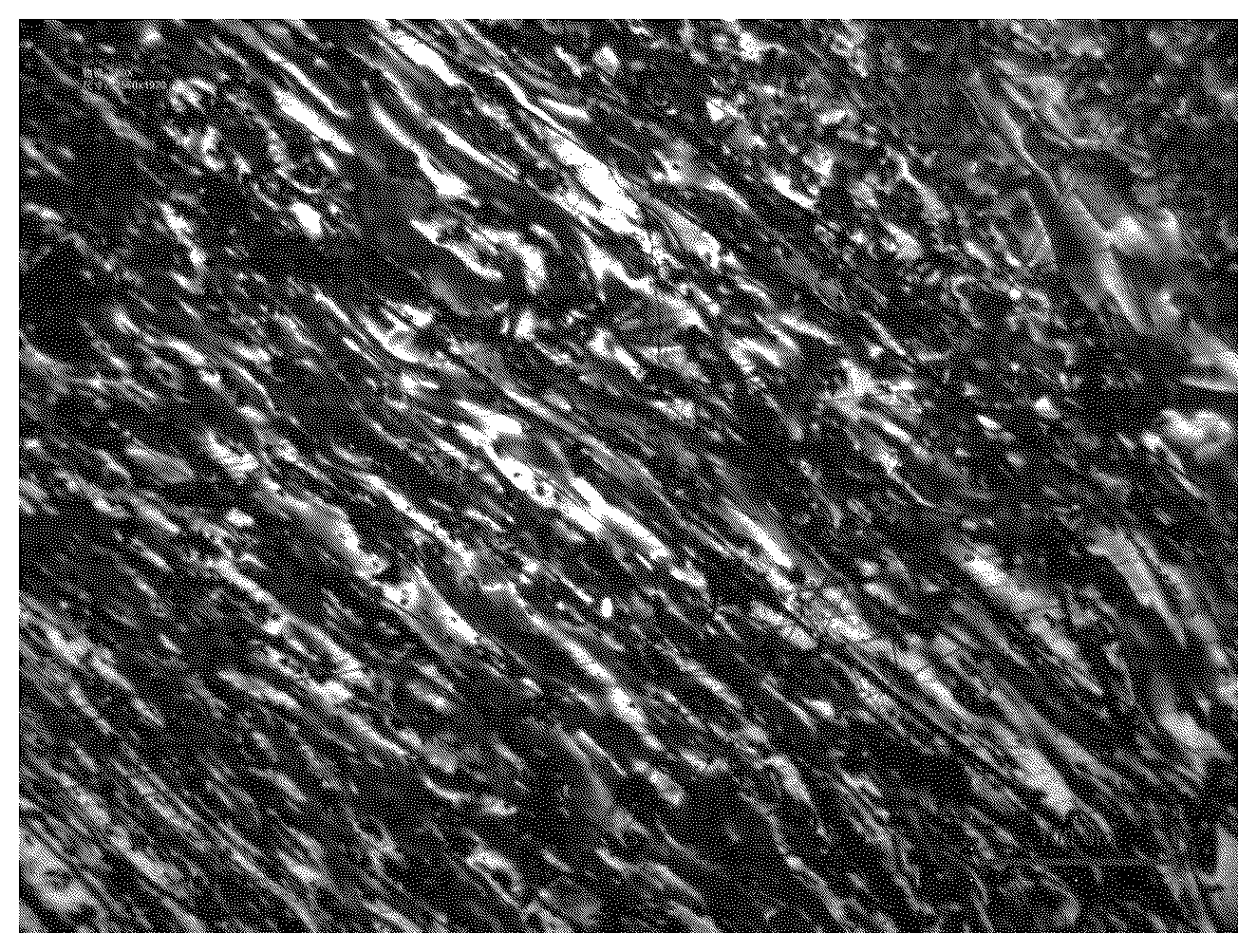 Patent US12617996 — Highly thermally conductive heat storage material, preparation method therefor, and application thereof, and composition for preparing highly thermally conductive heat storage material and application thereof — Figure 1