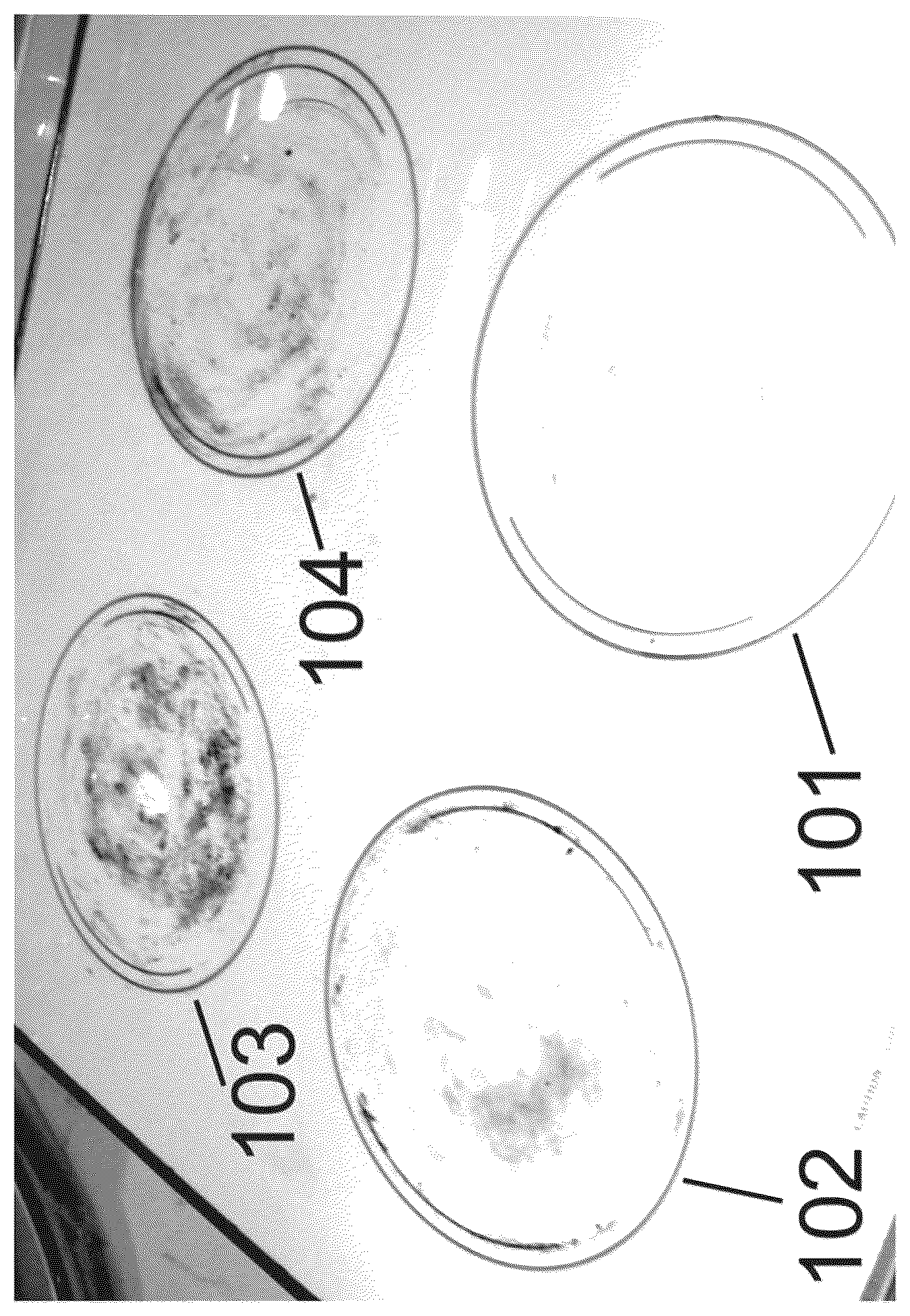 Patent US12618025 — Chemical product for rapid removal of food burned on to the surfaces of cooktops — Figure 1