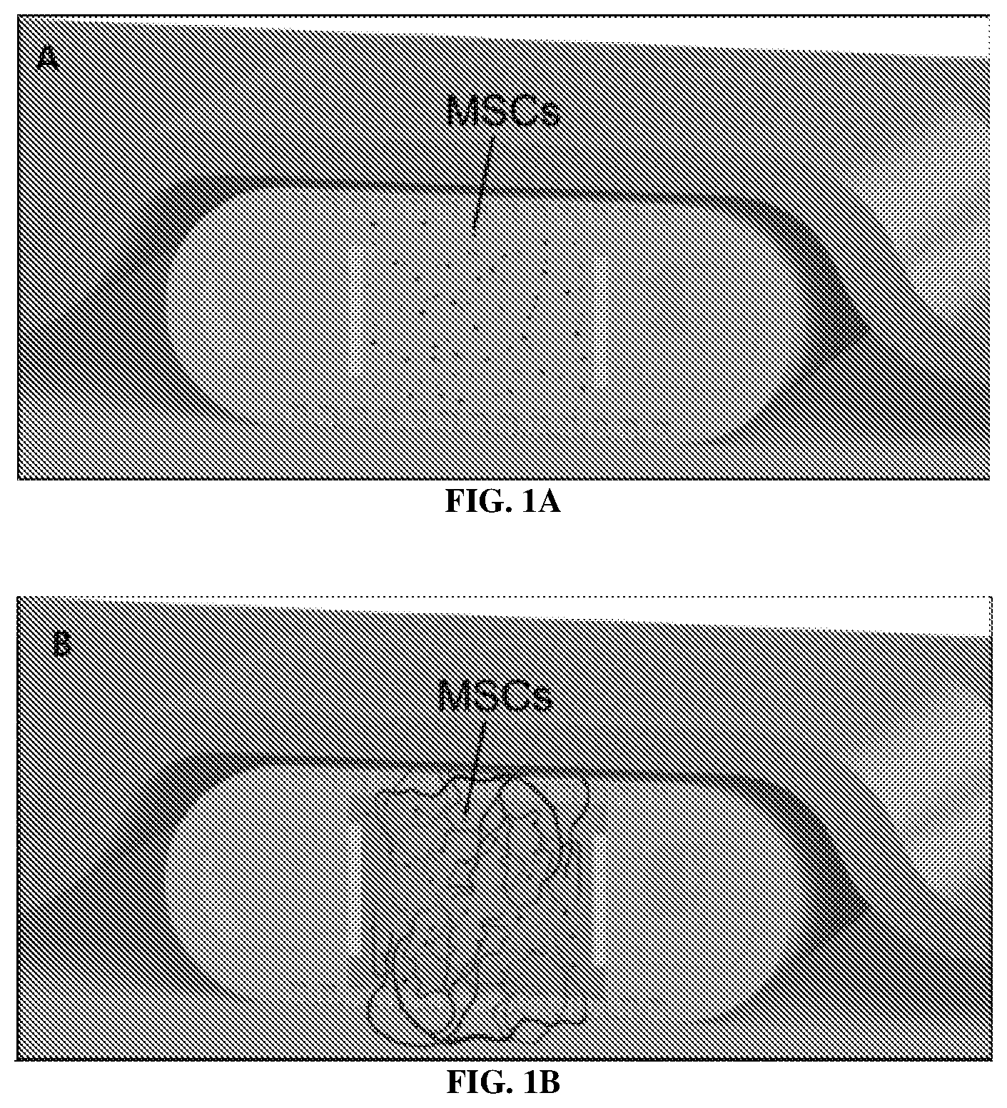 Patent US12618031 — Delivery devices — Figure 1