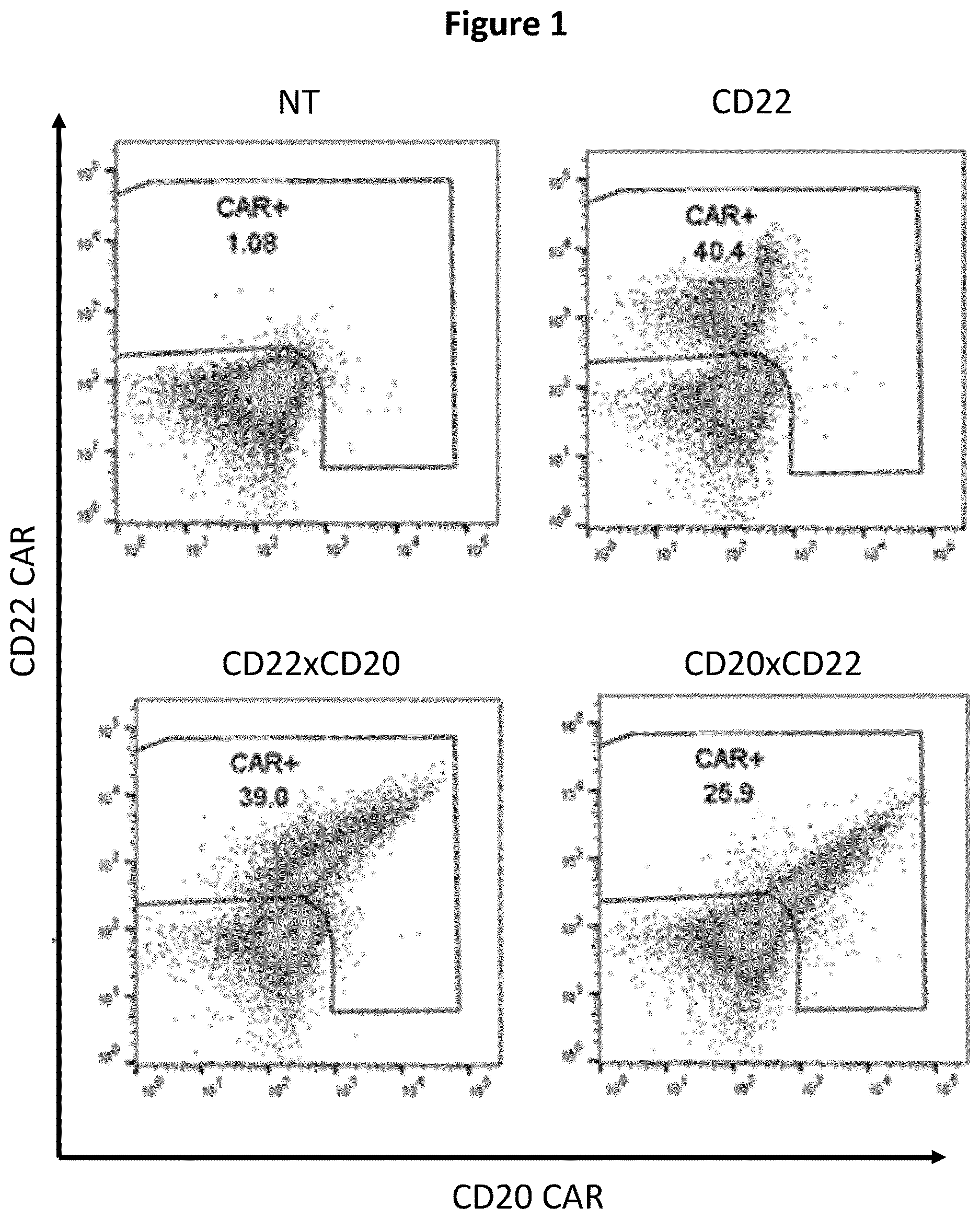 Patent US12618048 — Dual CAR-T cells — Figure 1
