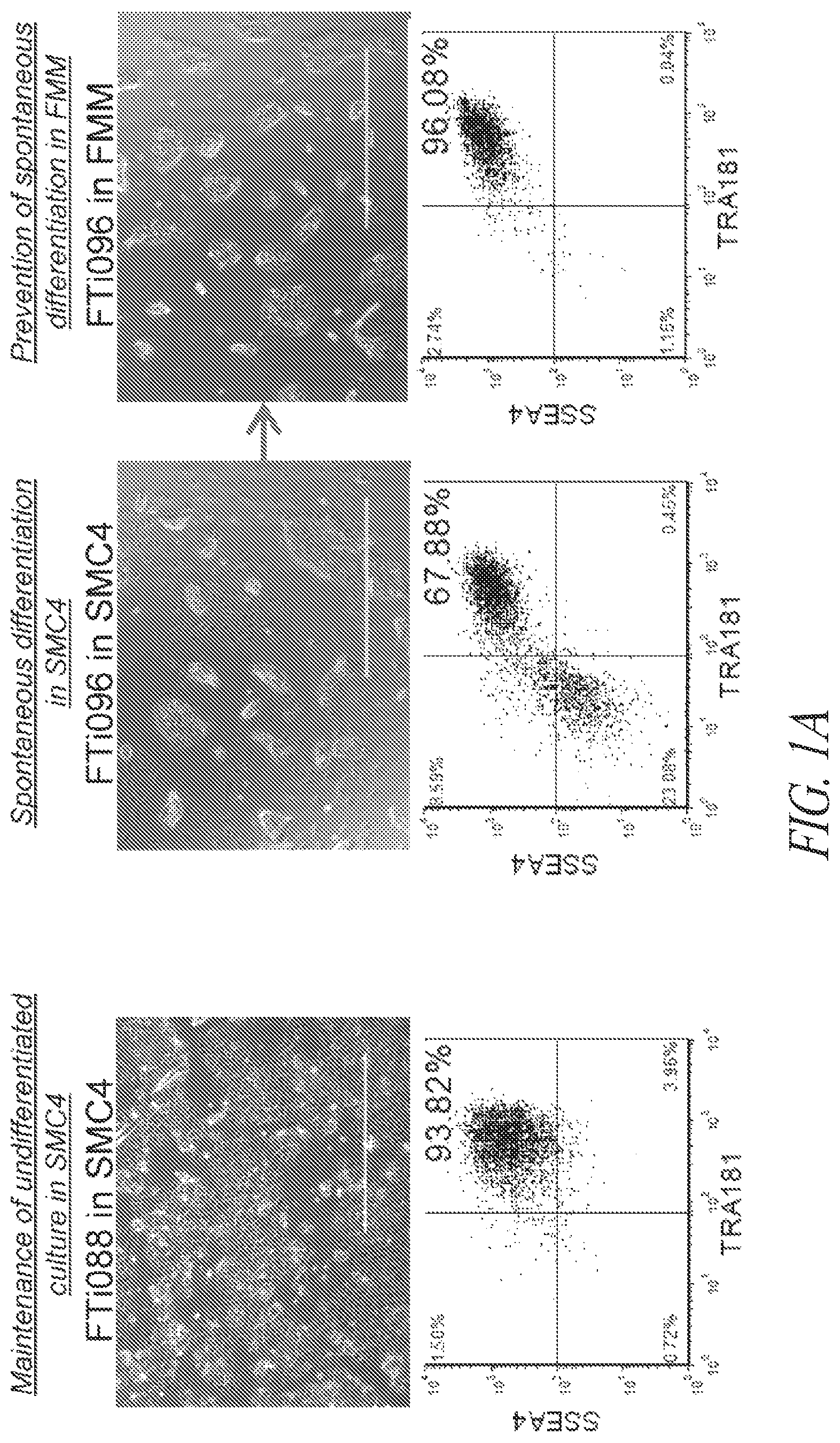 Patent US12618049 Figure 1 – Reprogramming methods and cell culture platforms