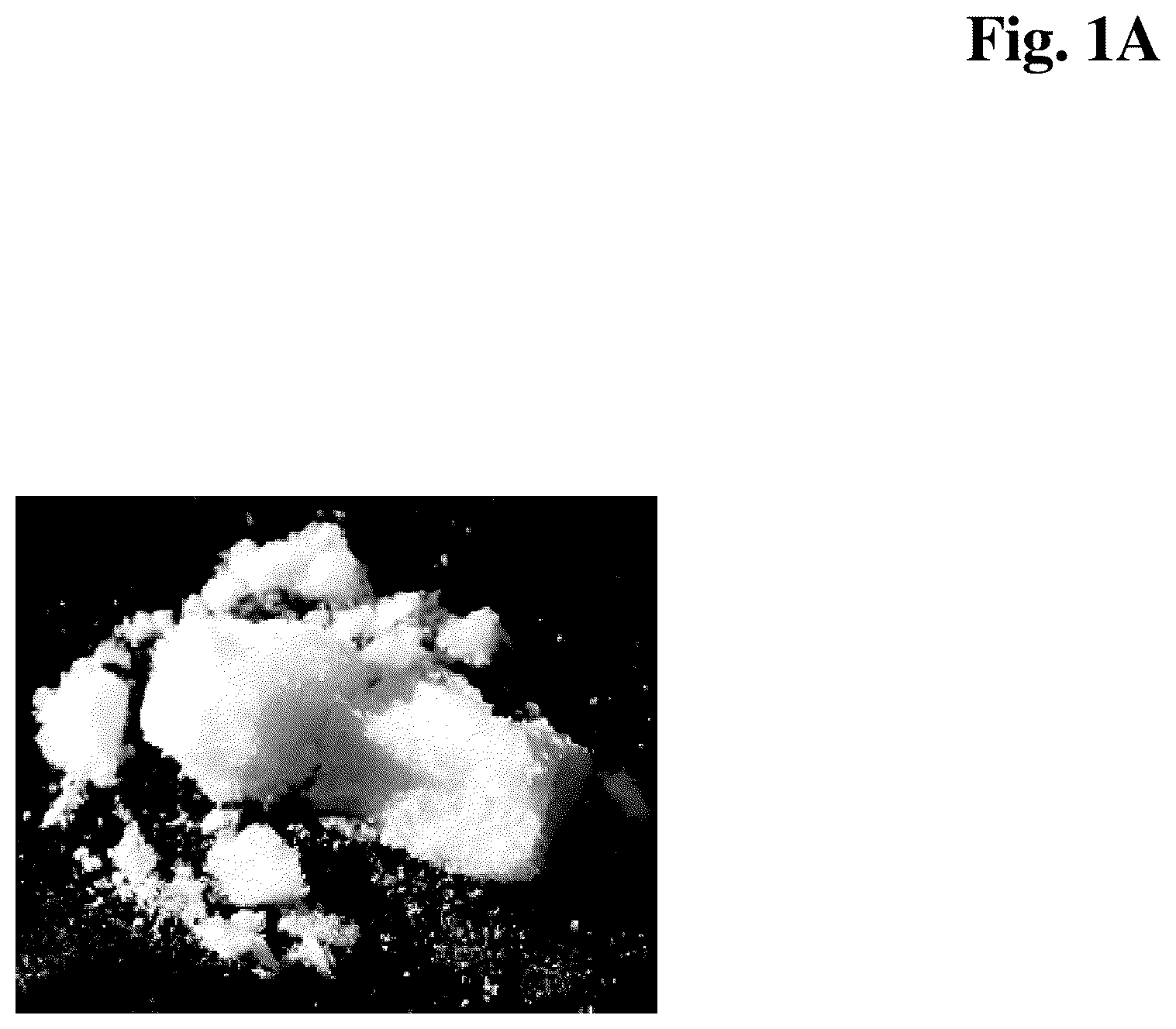 Patent US12618058 — Blends containing proteases — Figure 1