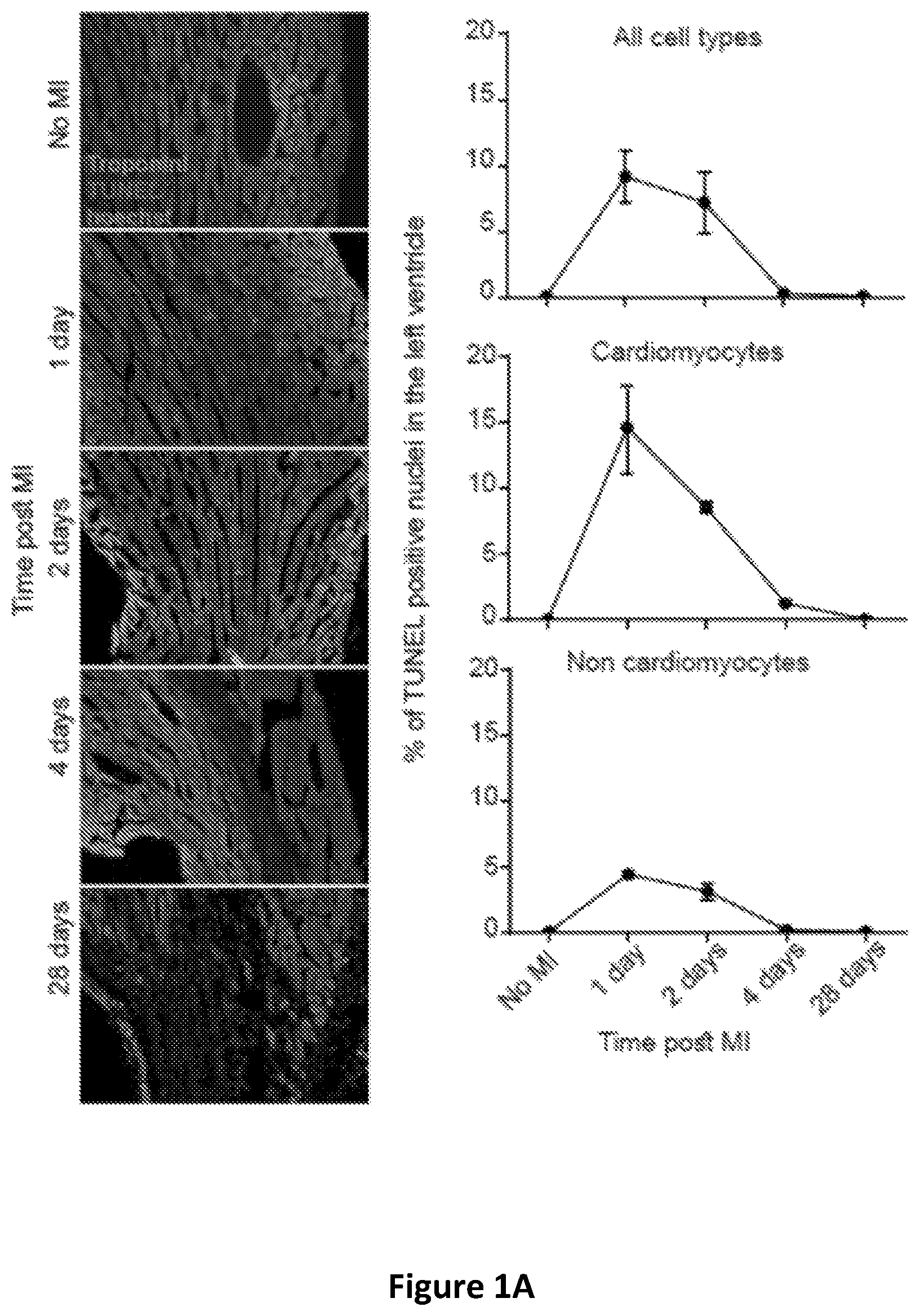Patent US12618059 — Anc80 encoding sphingolipid-metabolizing proteins — Figure 1