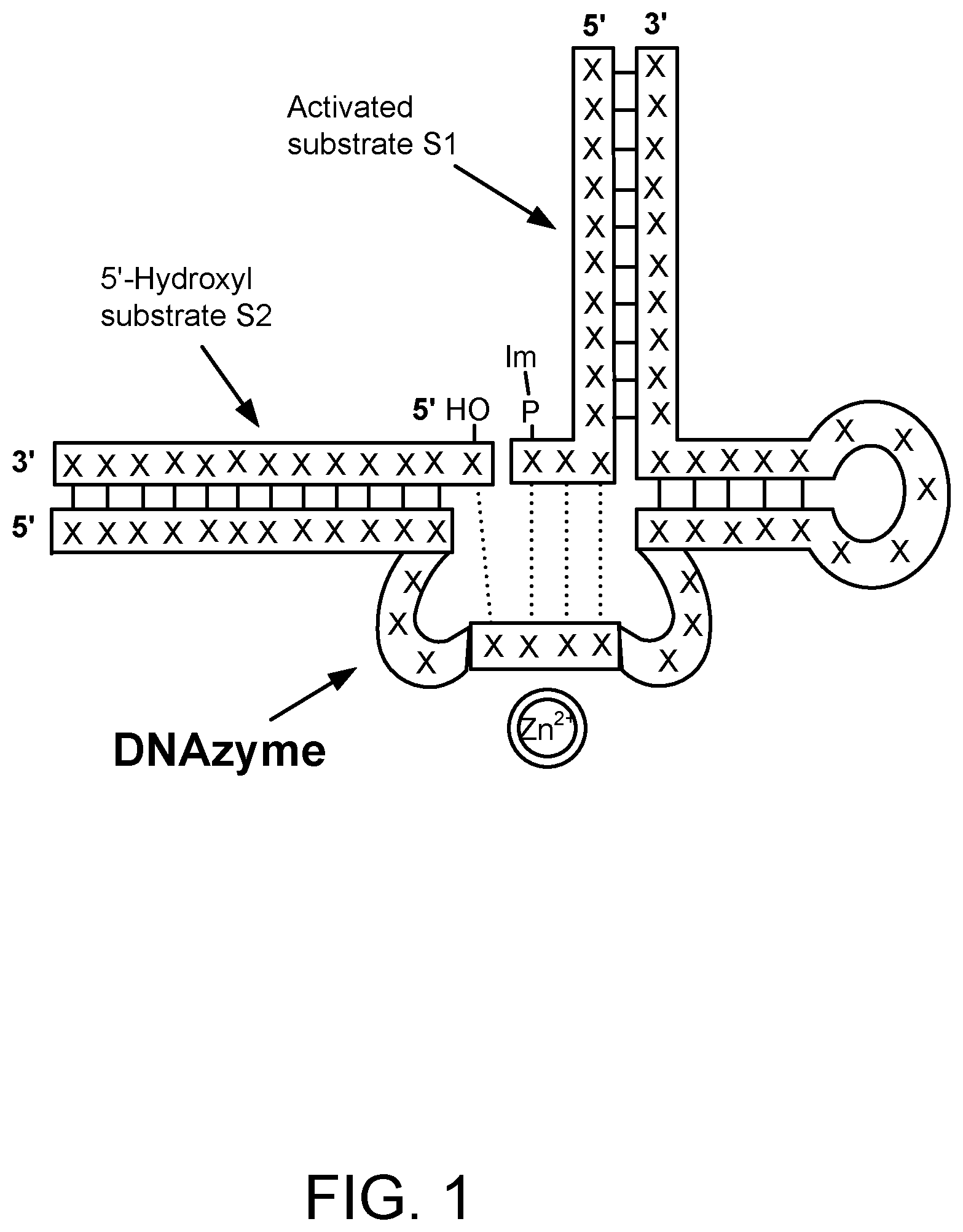 Patent US12618061 — Methods of gene assembly using DNAzymes and use in DNA data storage — Figure 1