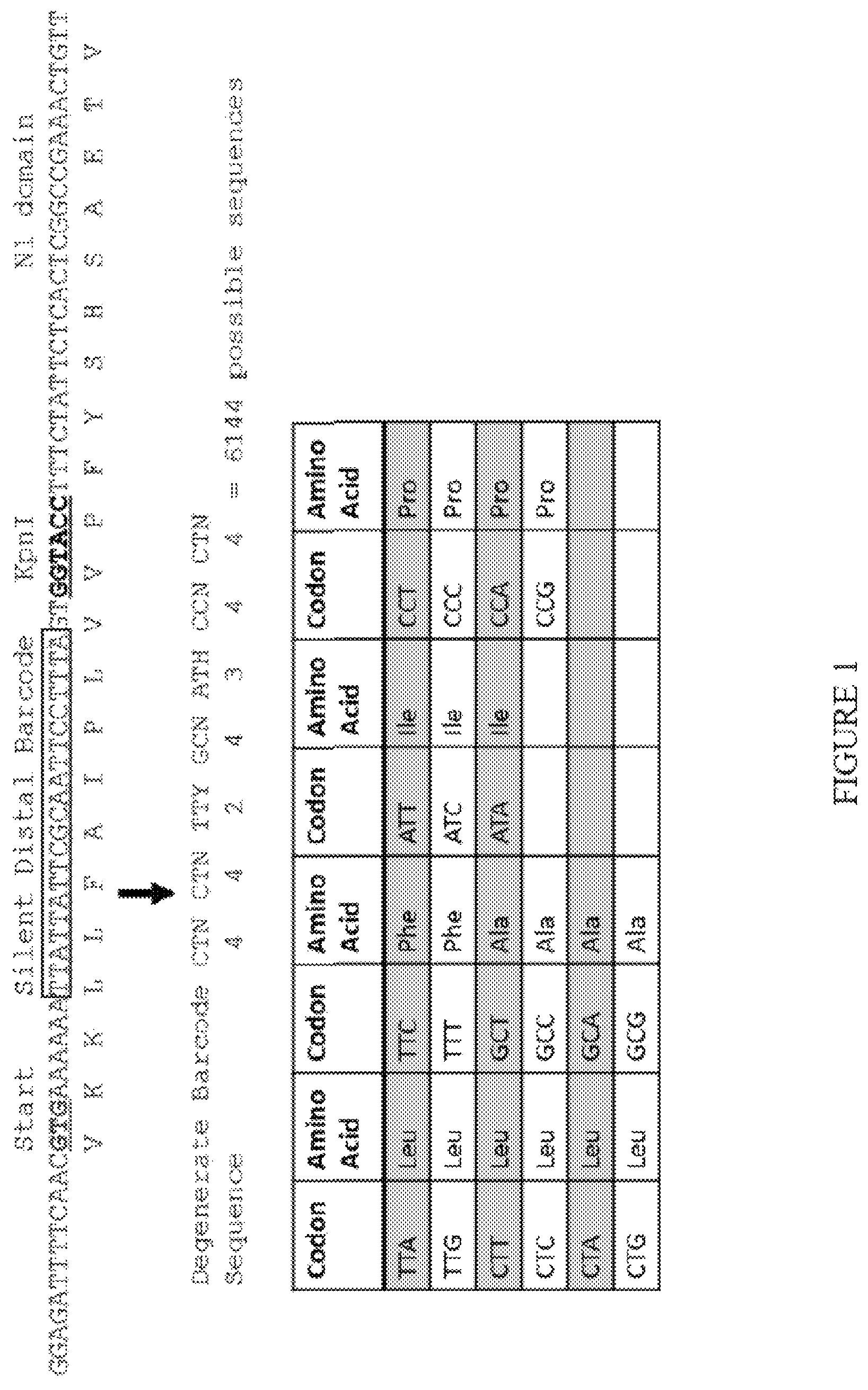 Patent US12618062 — Display of molecules on silently genetically encoded nanoscale carriers for determining synergistic molecular interactions — Figure 1