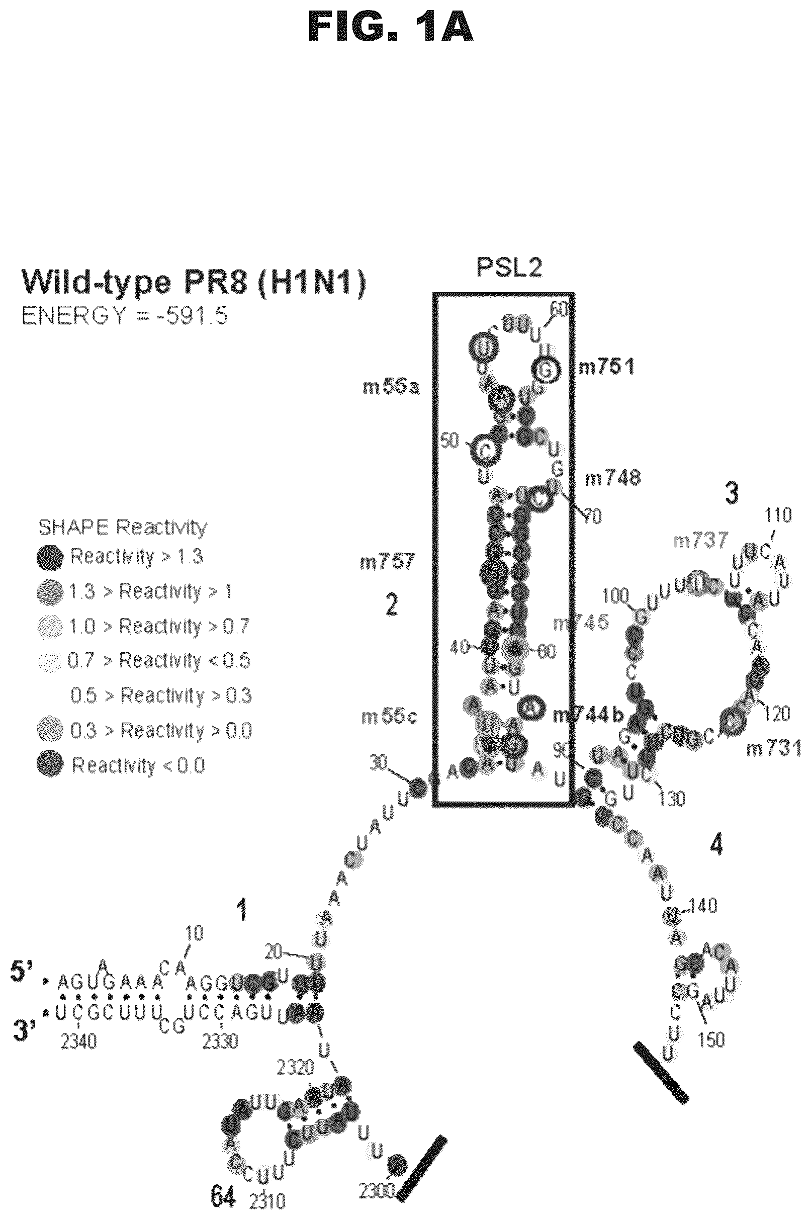 Patent US12618063 — Pan-genotypic agents against influenza virus and methods of using the same — Figure 1