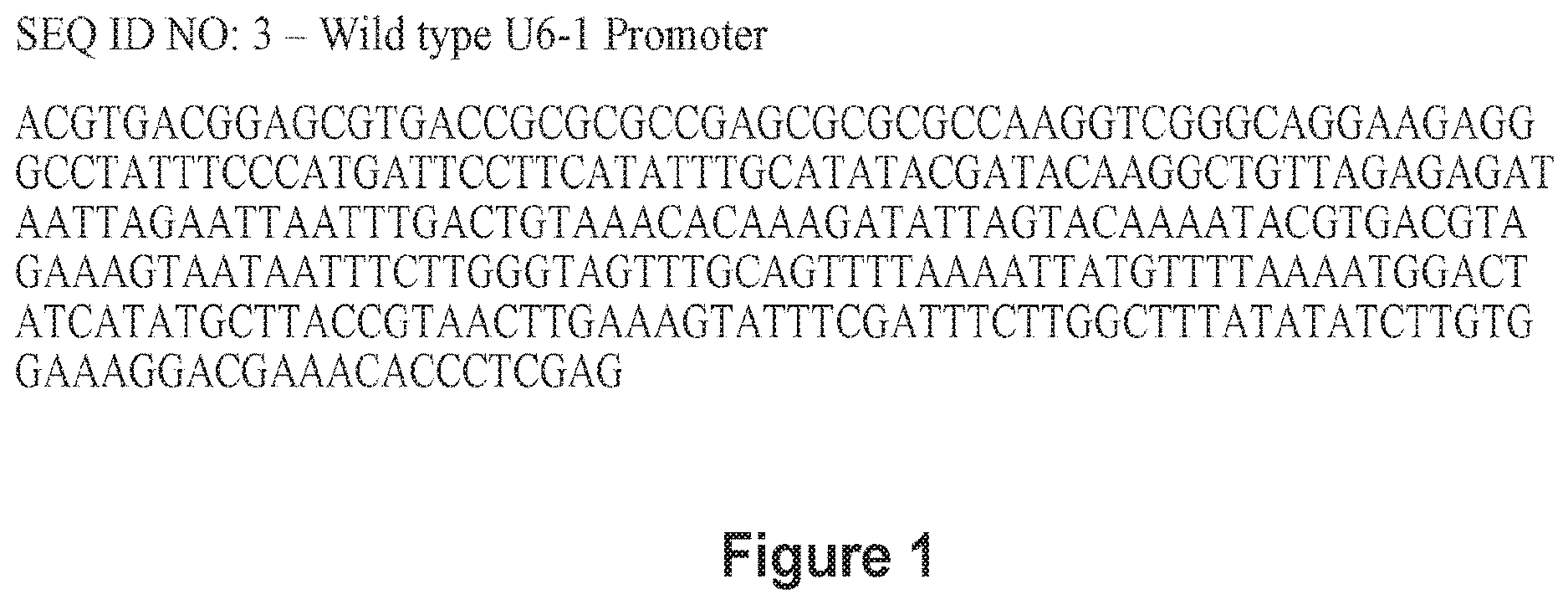 Patent US12618065 Figure 1 – MiRNA detargeting system for tissue specific interference