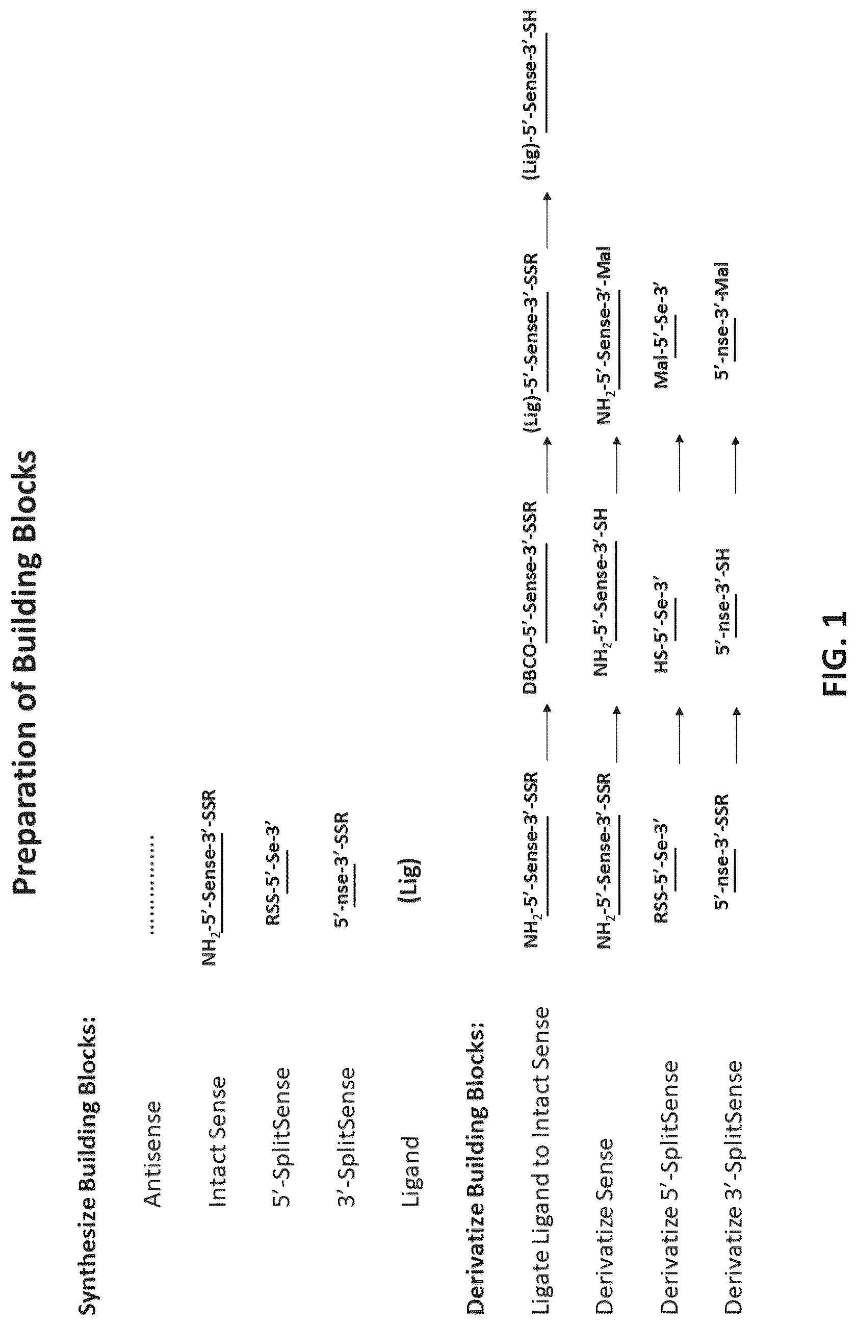 Patent US12618071 — Multimeric oligonucleotides with divided strands — Figure 1