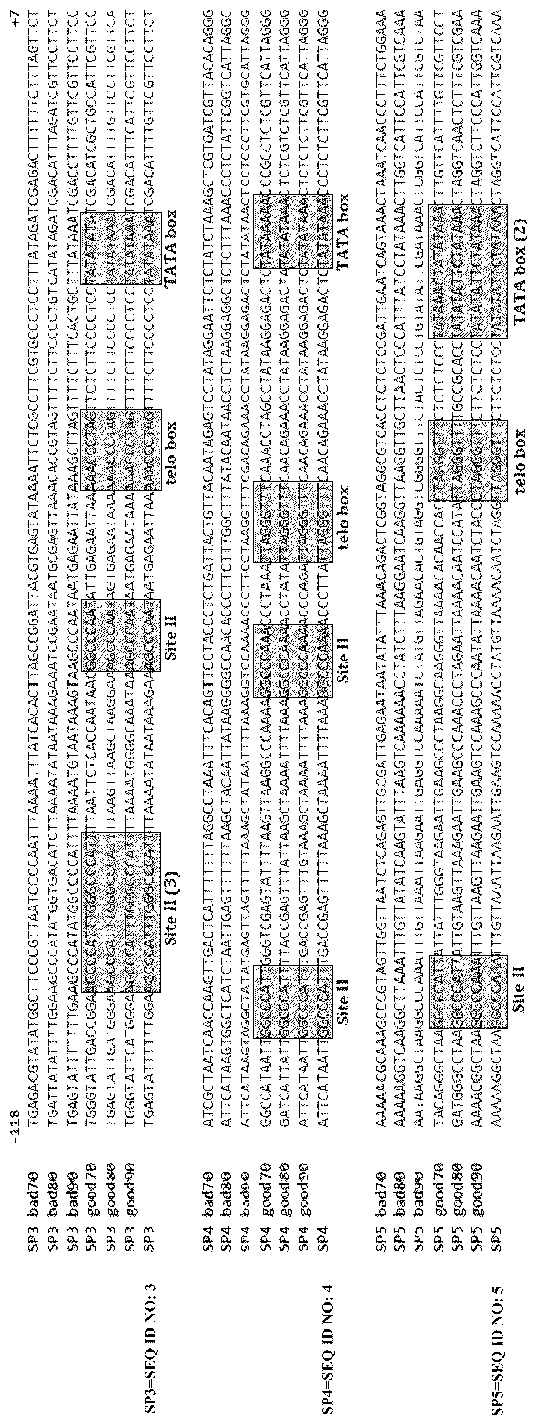 Patent US12618077 — Genetic regulatory elements — Figure 1