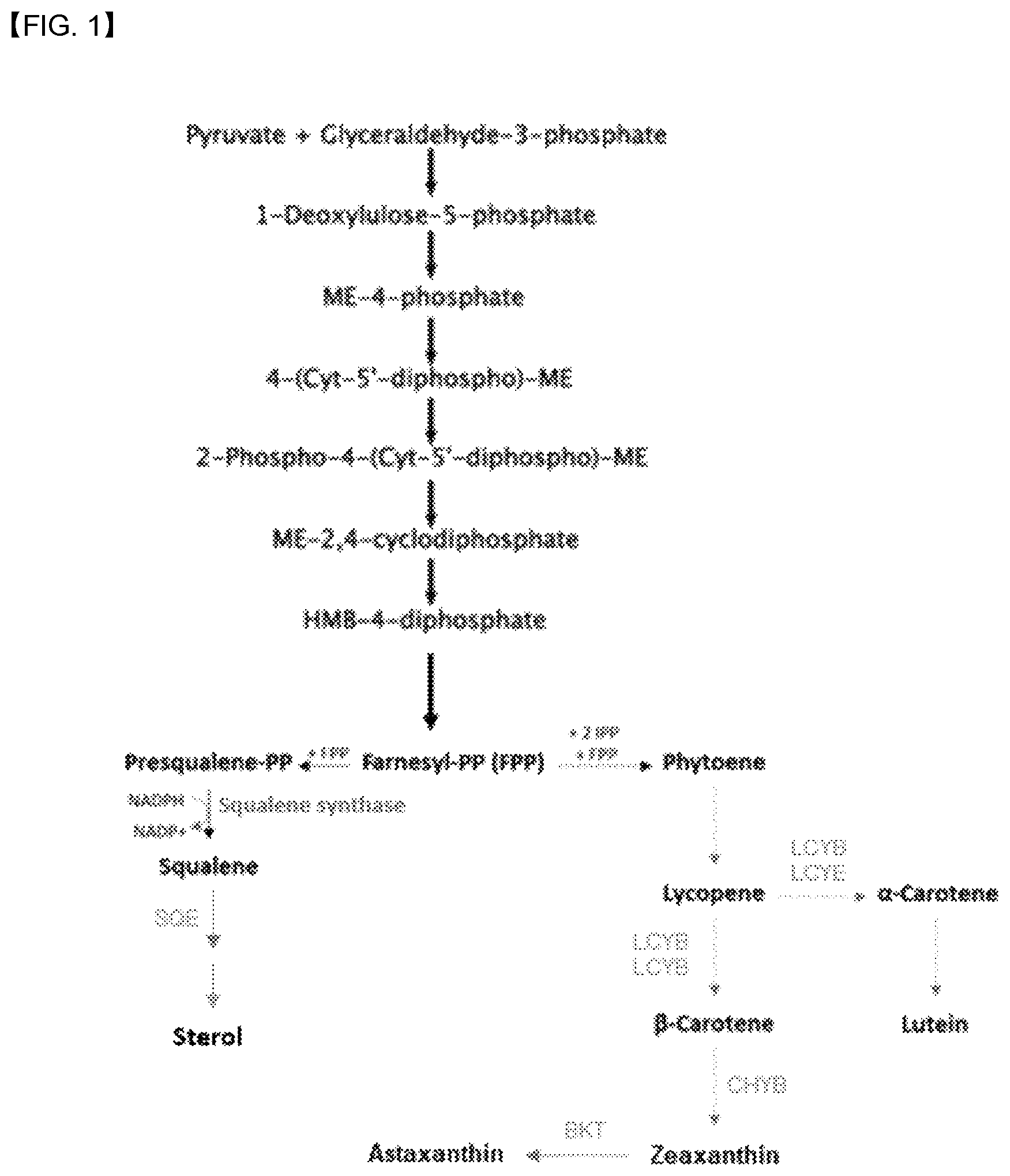 Patent US12618088 — Production of lipids and terpenoids in Auxenochlorella protothecoides — Figure 1
