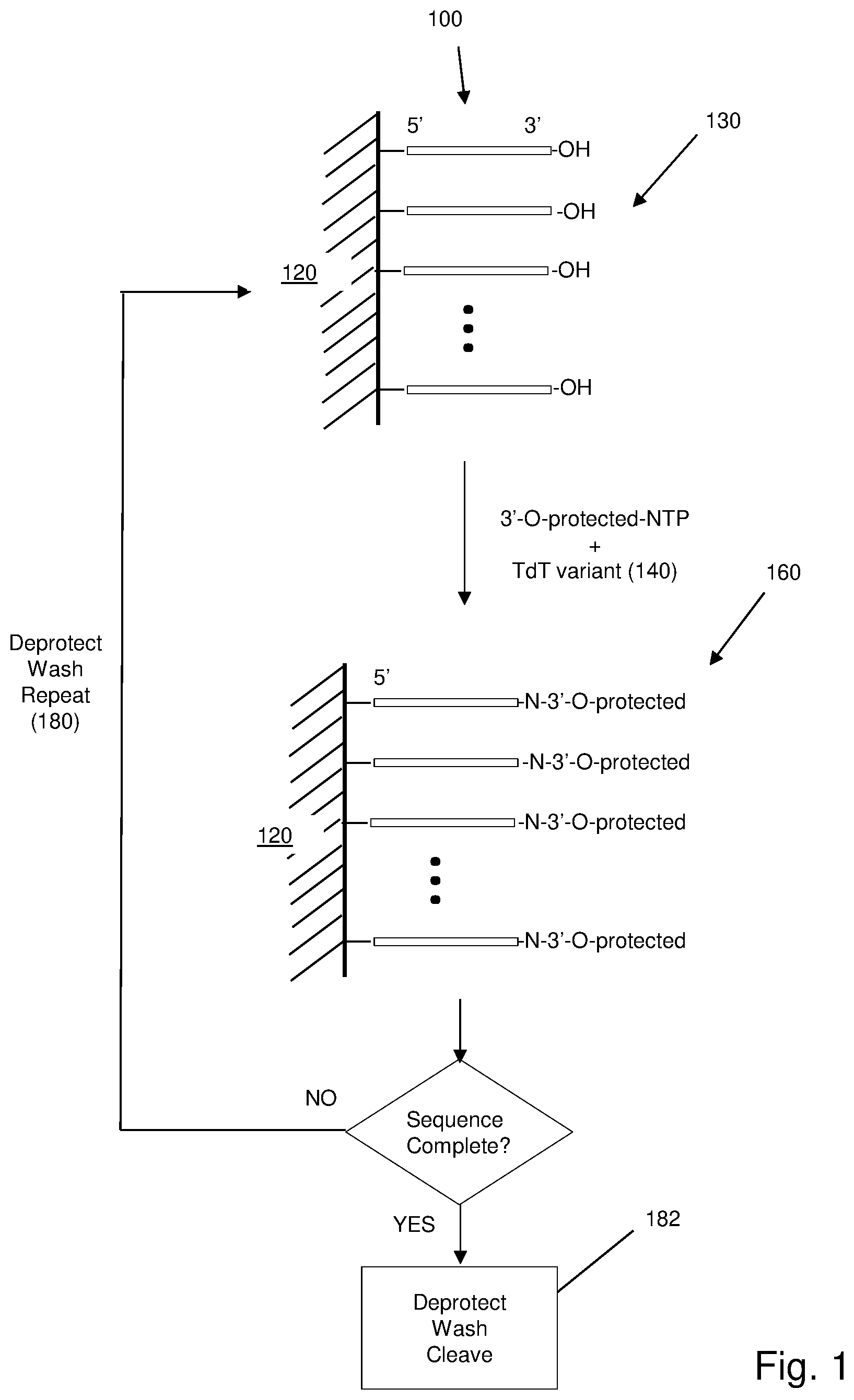 Patent US12618092 — Method and apparatus for enzymatic synthesis of polynucleotides — Figure 1
