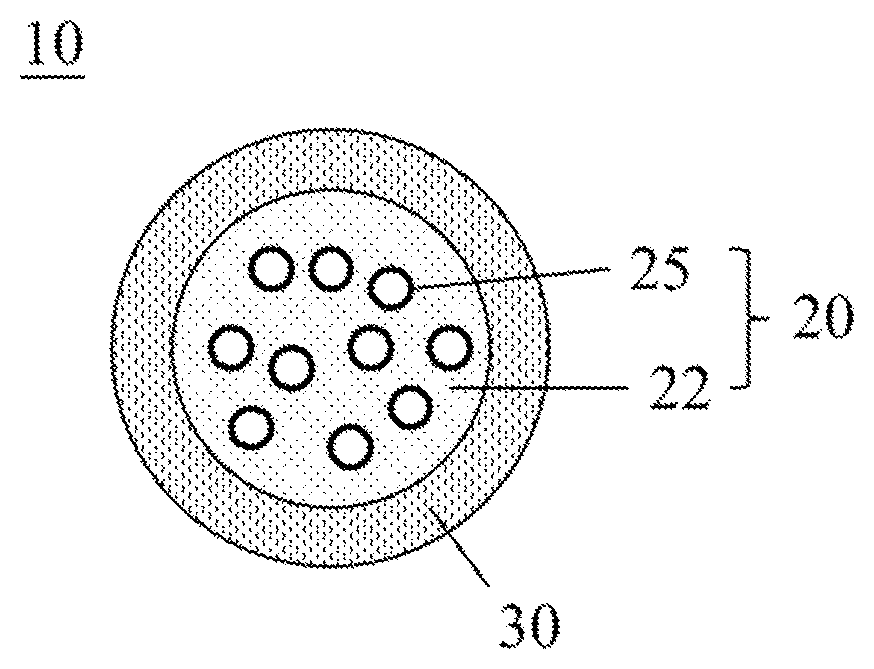 Patent US12618094 Figure 1 – Core-shell nanoparticles, methods of producing the same, and uses thereof for detecting extracellular polymeric substances