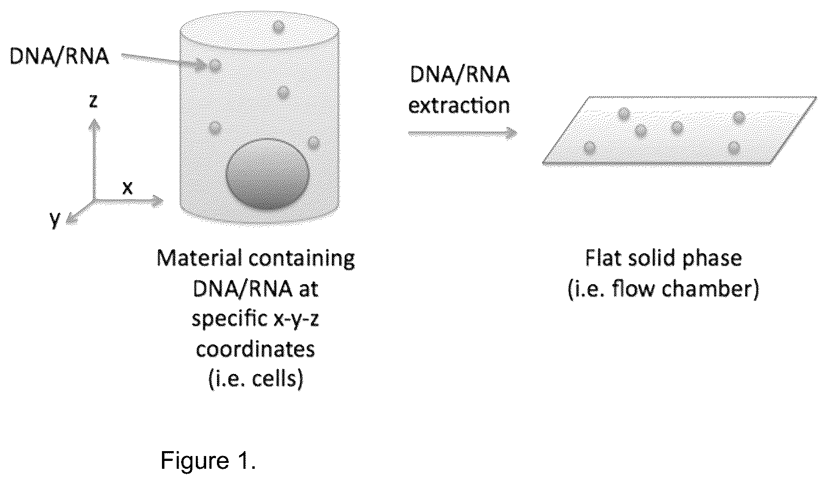 Patent US12618099 — Compositions and methods for analyte detection — Figure 1