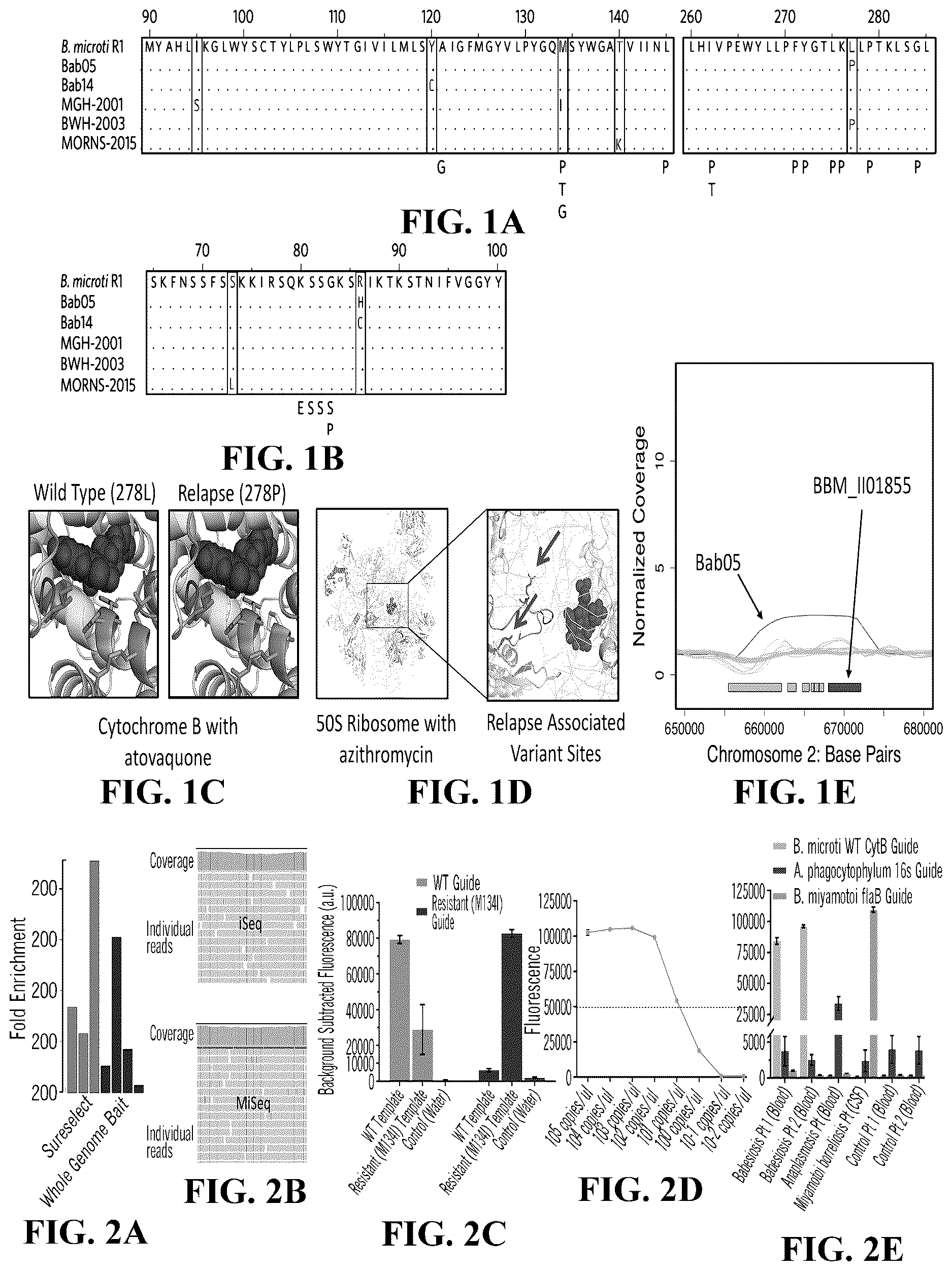 Patent US12618101 Figure 1 – Sherlock assays for tick-borne diseases