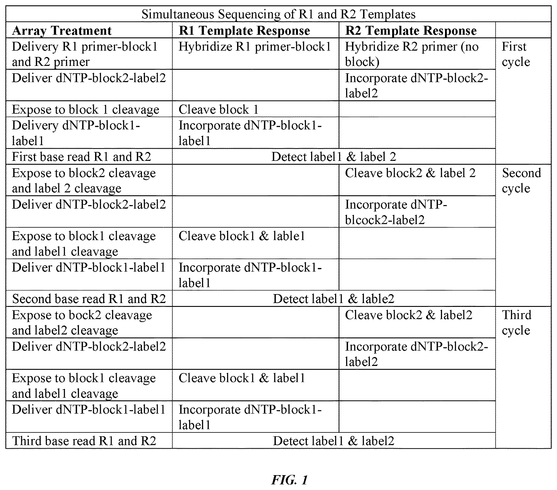 Patent US12618109 — Orthogonal deblocking of nucleotides — Figure 1
