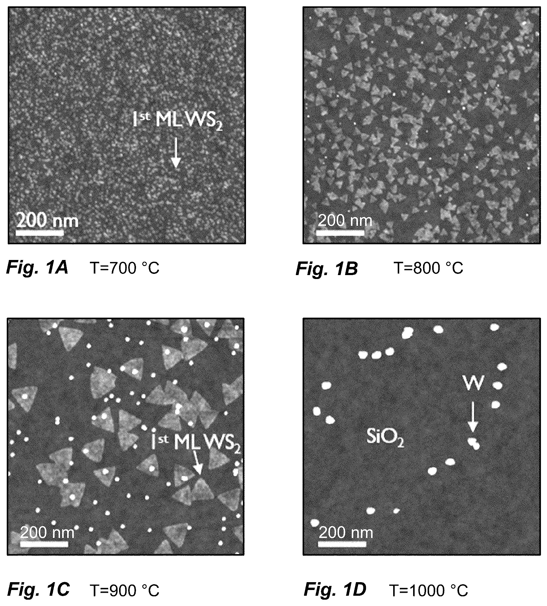 Patent US12618152 — Method of depositing a transition metal dichalcogenide — Figure 1