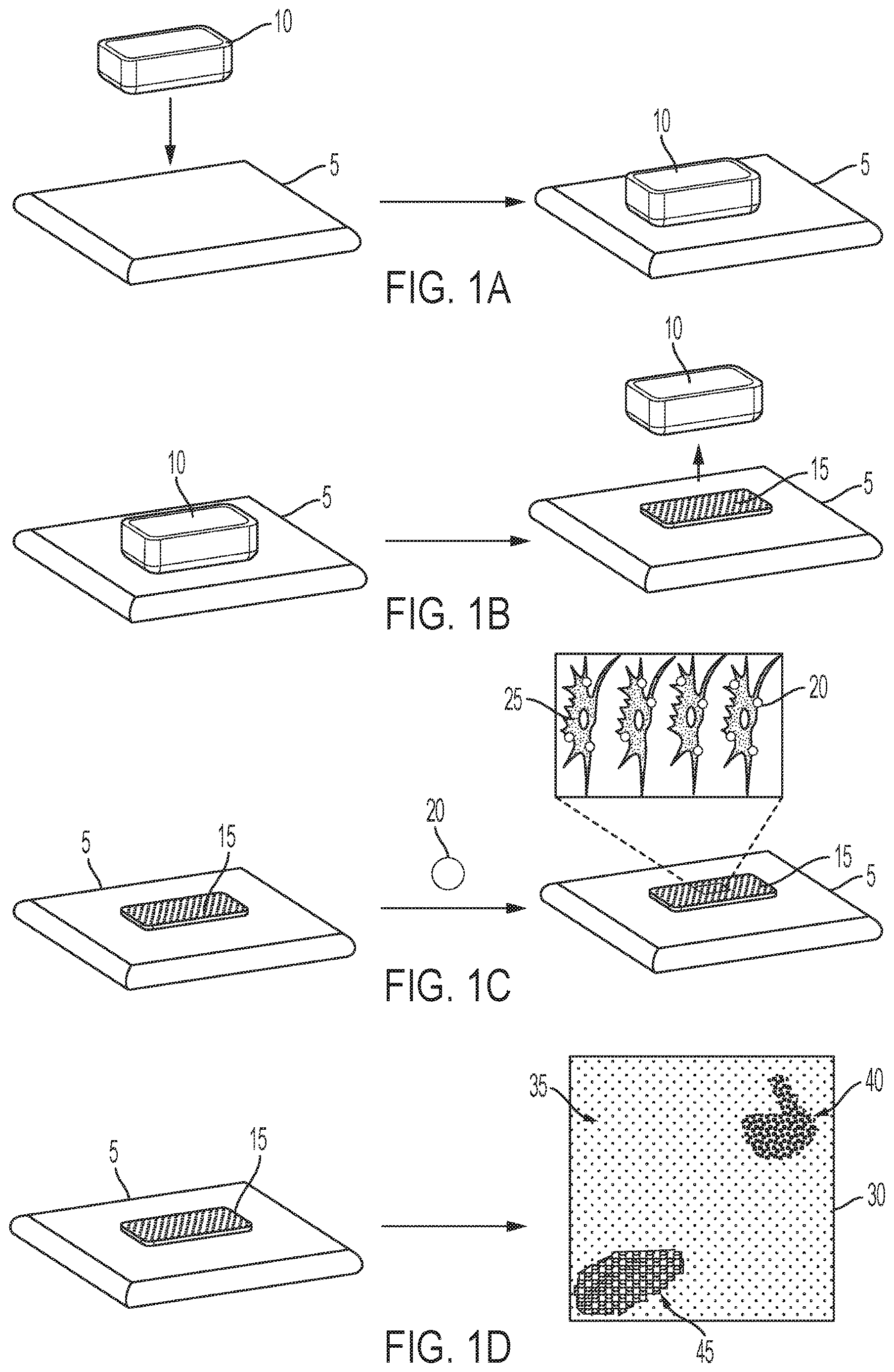Patent US12618755 — Methods and systems for assessing bioelectric patterns — Figure 1