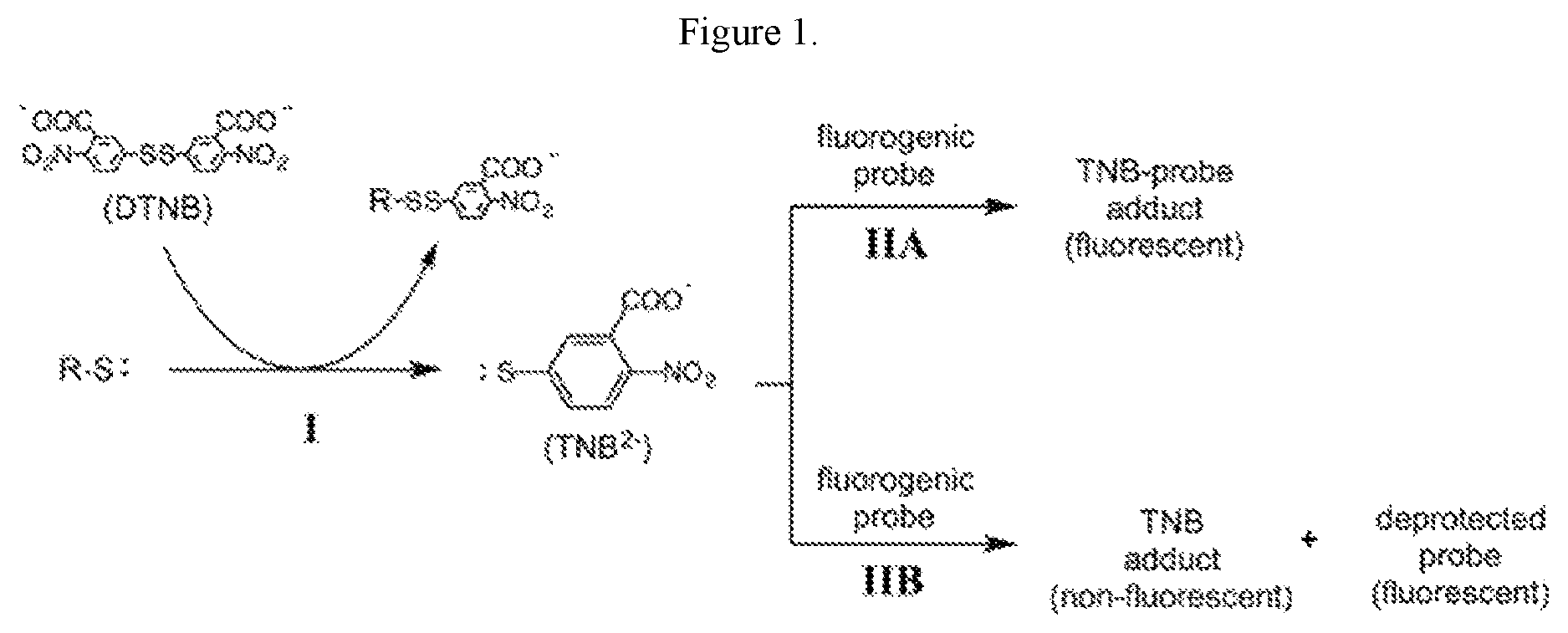 Patent US12618779 — Fluorescent ellman assay for free thiol detection — Figure 1