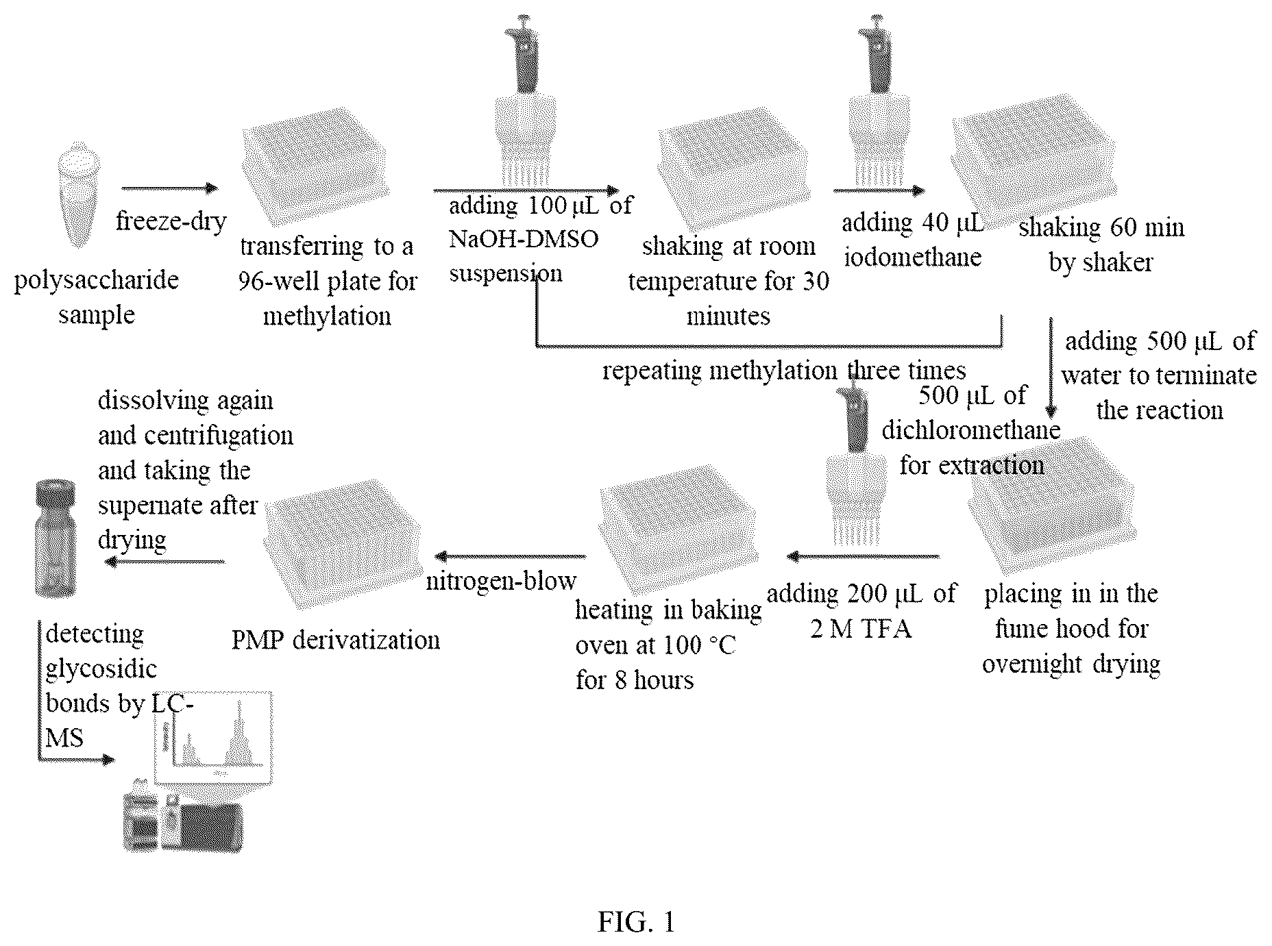 Patent US12618813 — Method for detecting glycosidic bonds of plant polysaccharides — Figure 1