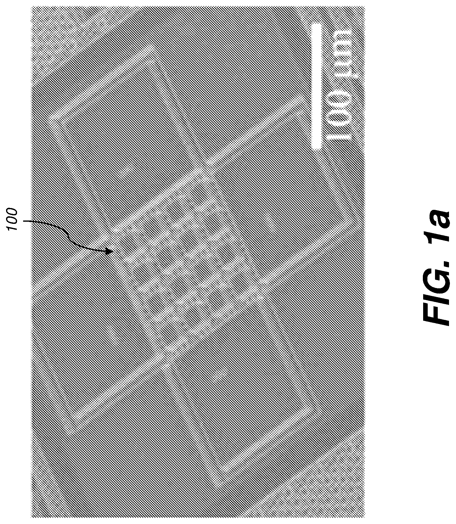 Patent US12618825 — Biological sensing system having micro-electrode array — Figure 1