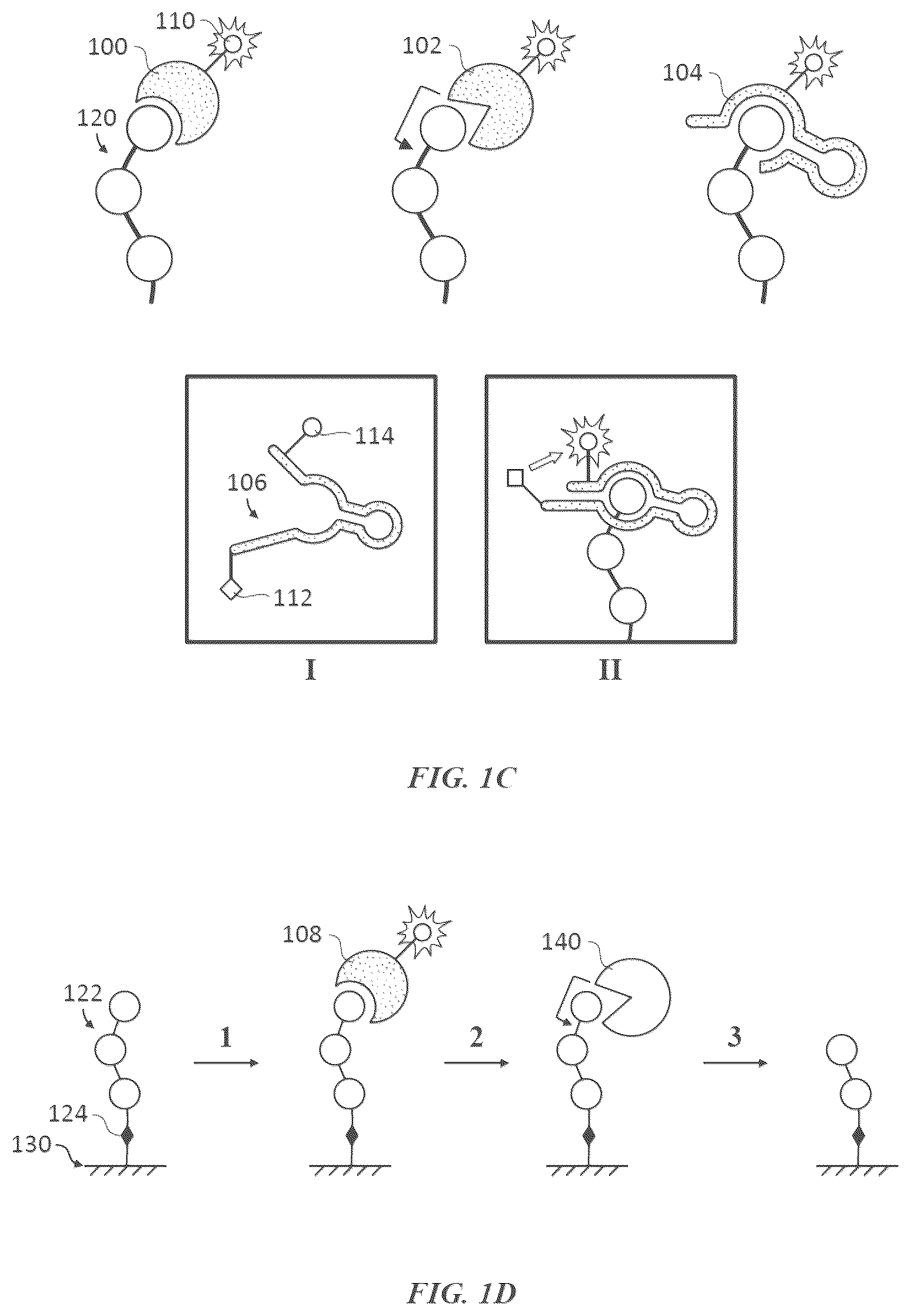 Patent US12618845 Figure 2 – Methods and compositions for protein sequencing