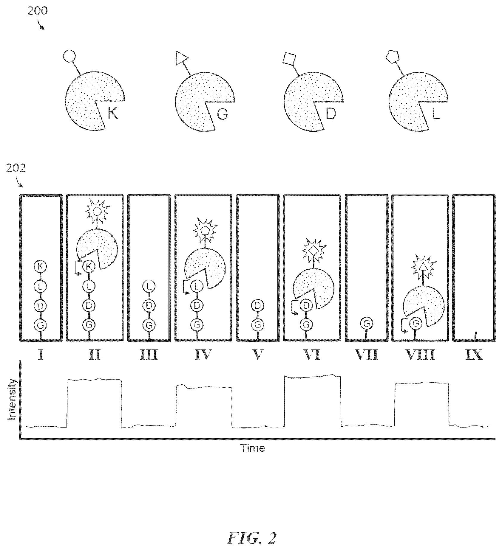 Patent US12618845 Figure 4 – Methods and compositions for protein sequencing